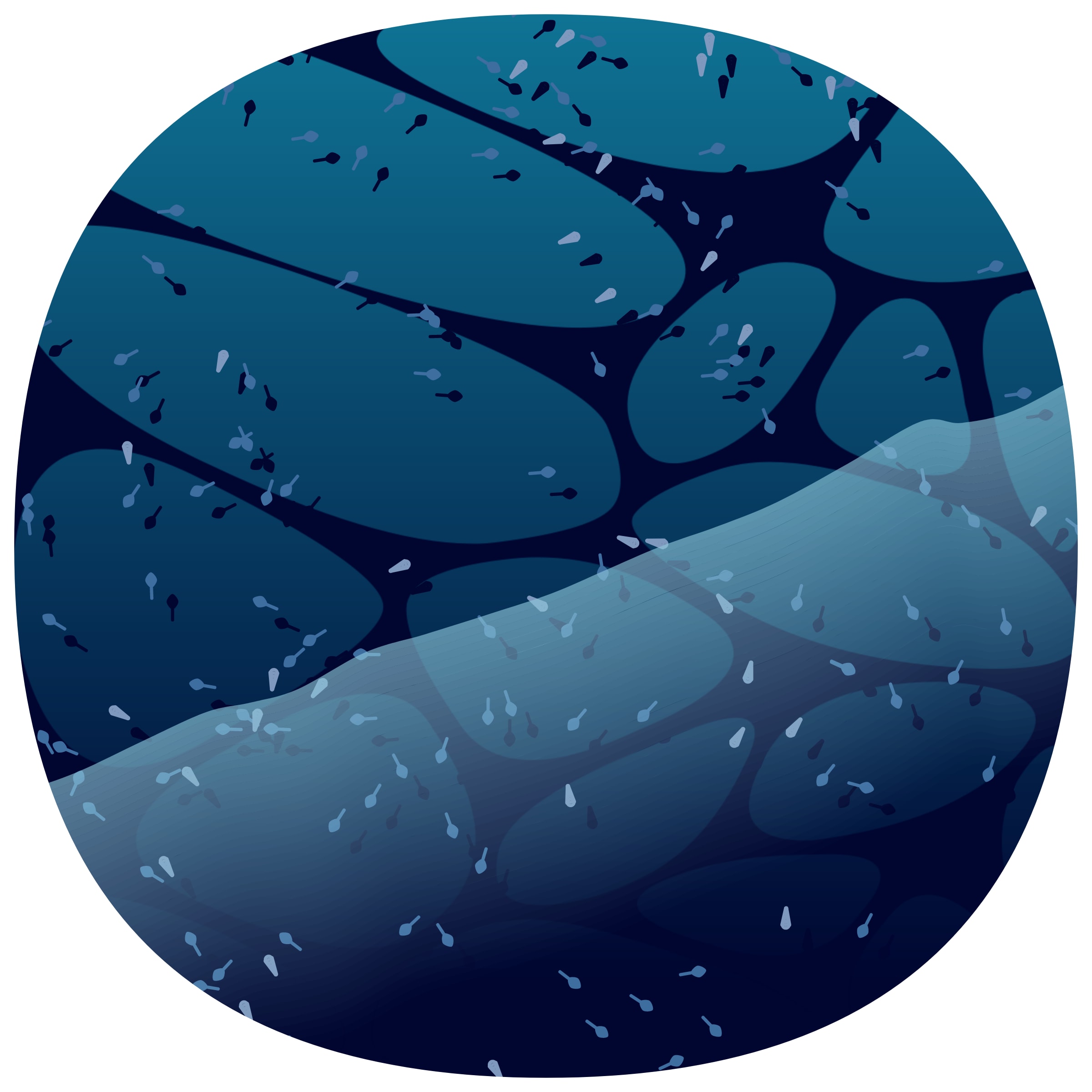 Low Tide preview 5