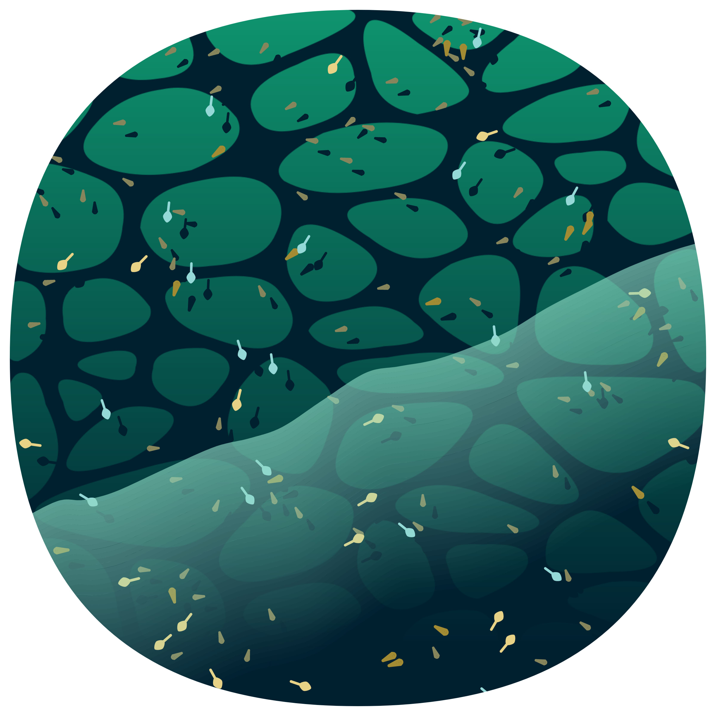 Featured token for: Low Tide
