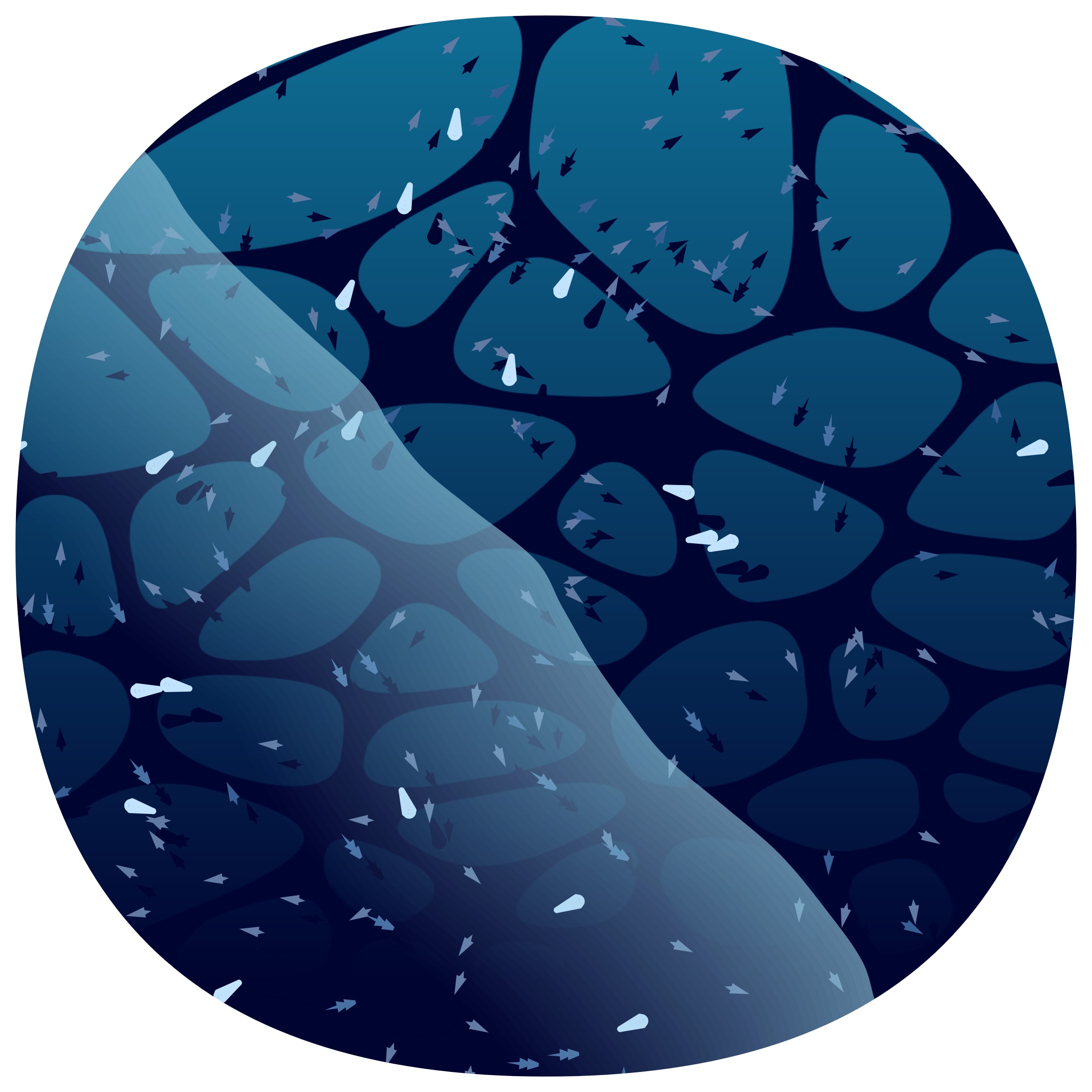 Featured token for: Low Tide