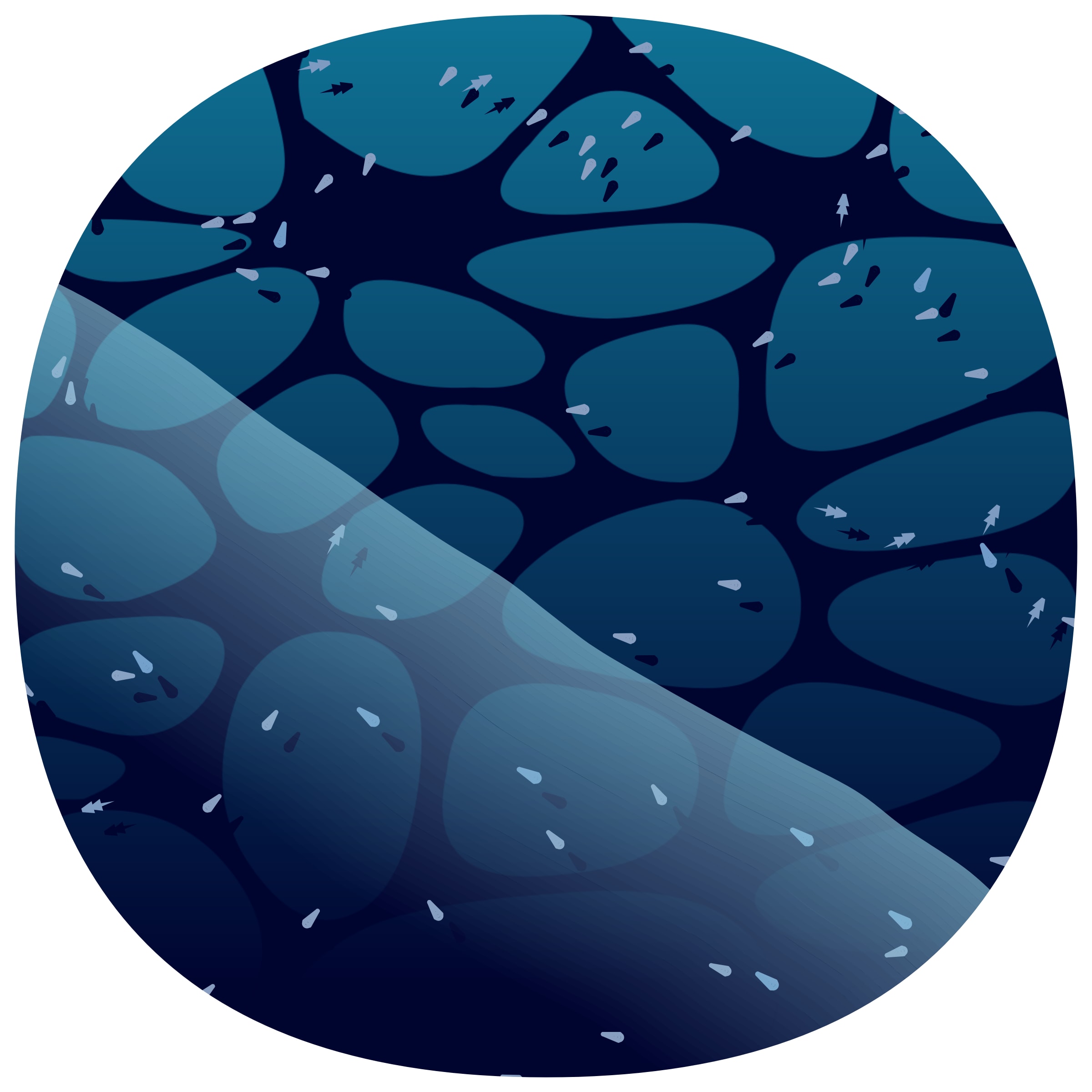 Featured token for: Low Tide