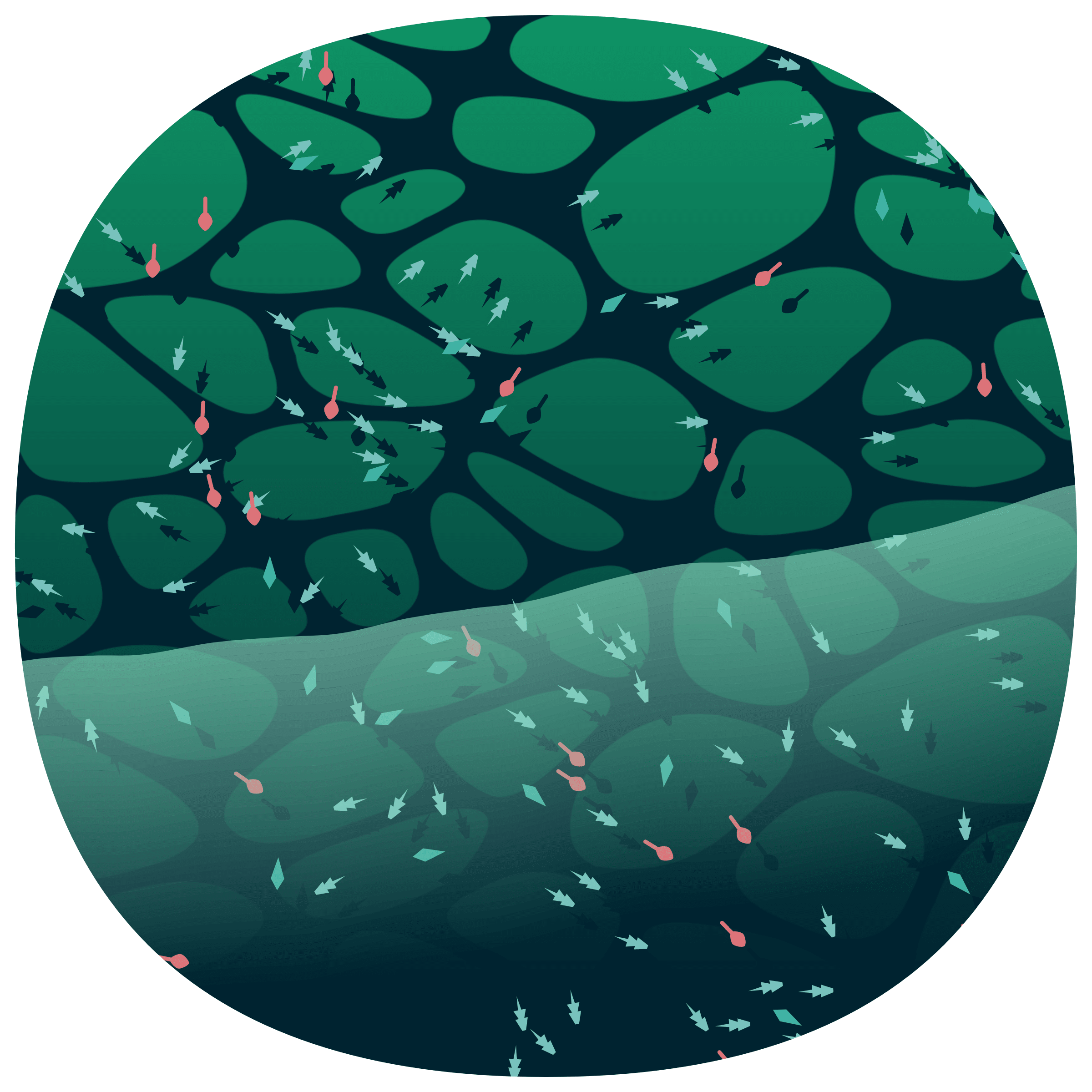 Low Tide