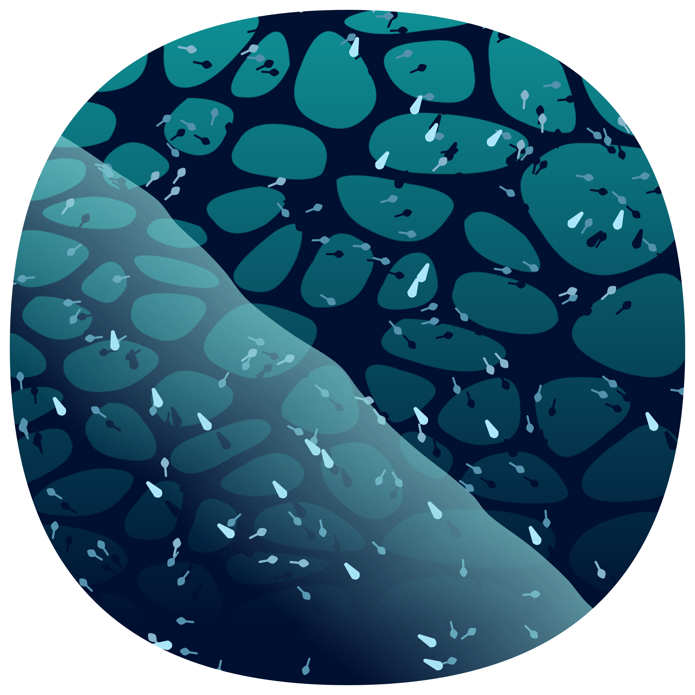 Featured token for: Low Tide