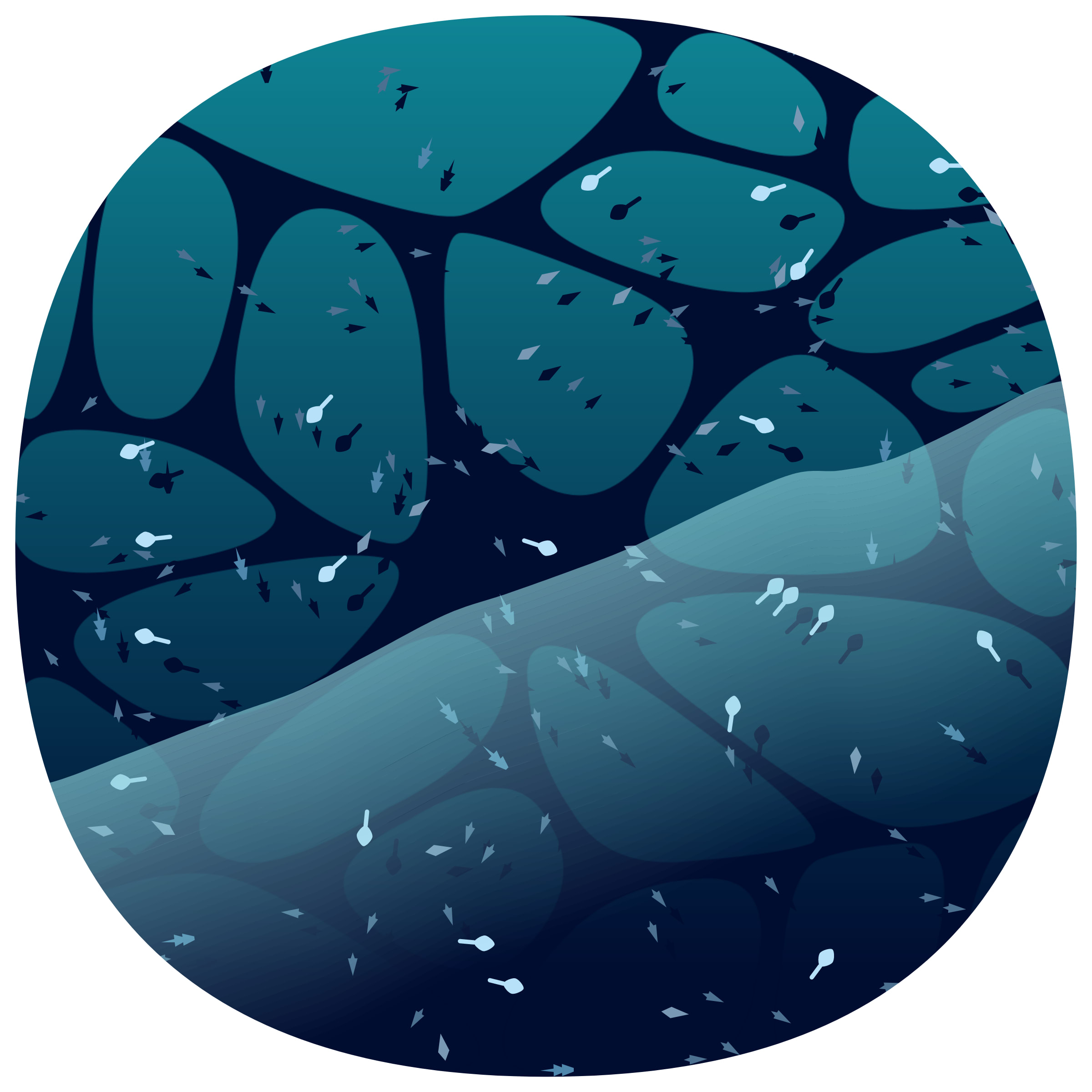 Featured token for: Low Tide #203