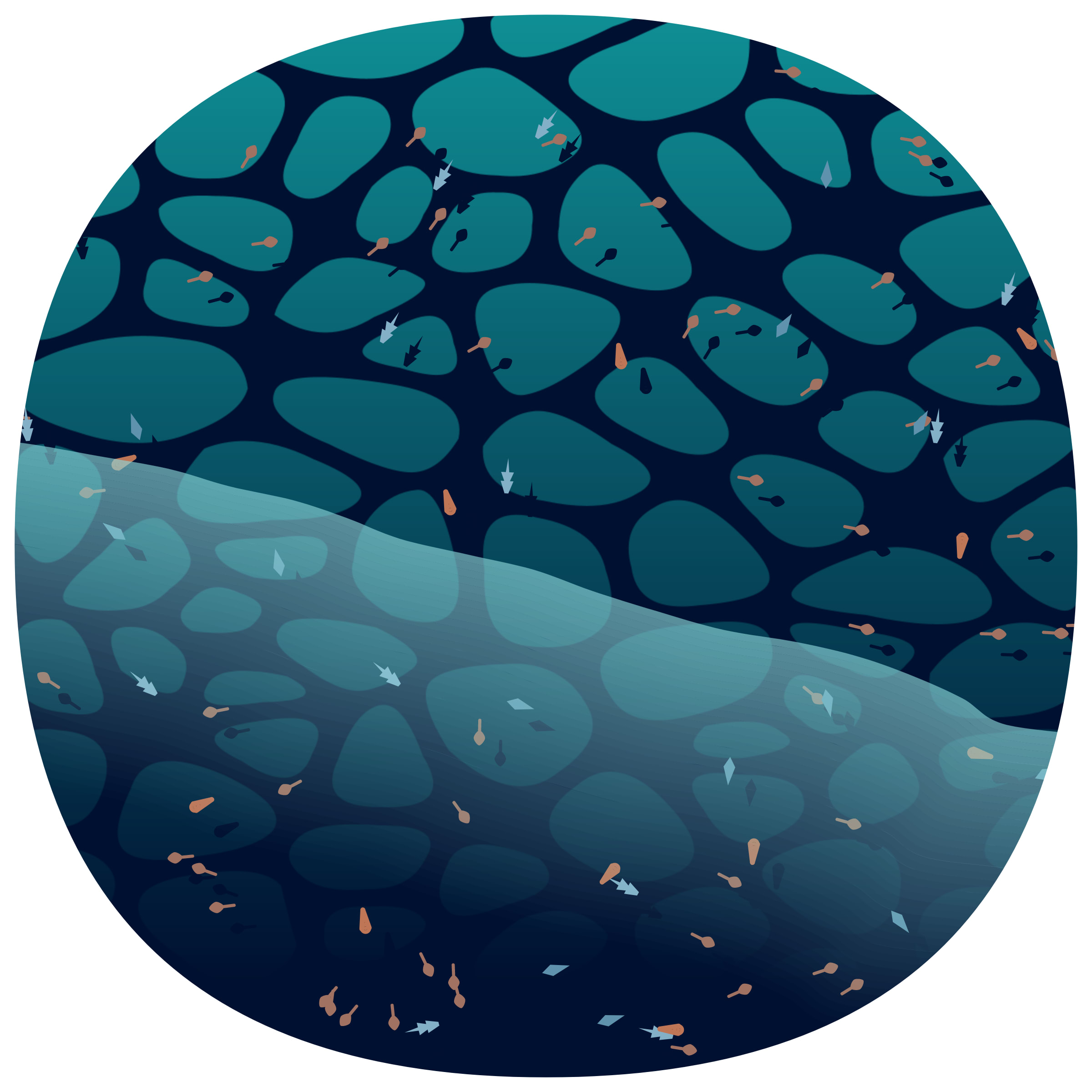 Featured token for: Low Tide #215