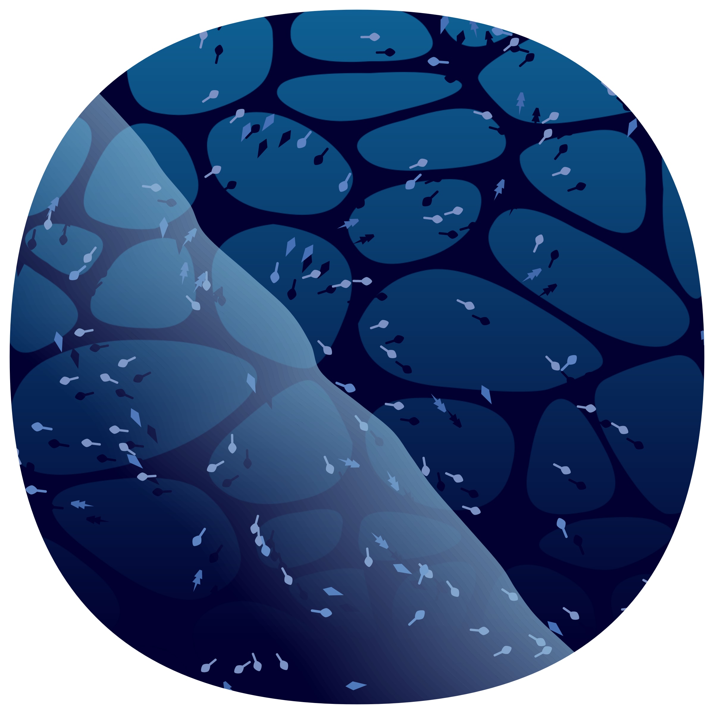 Featured token for: Low Tide