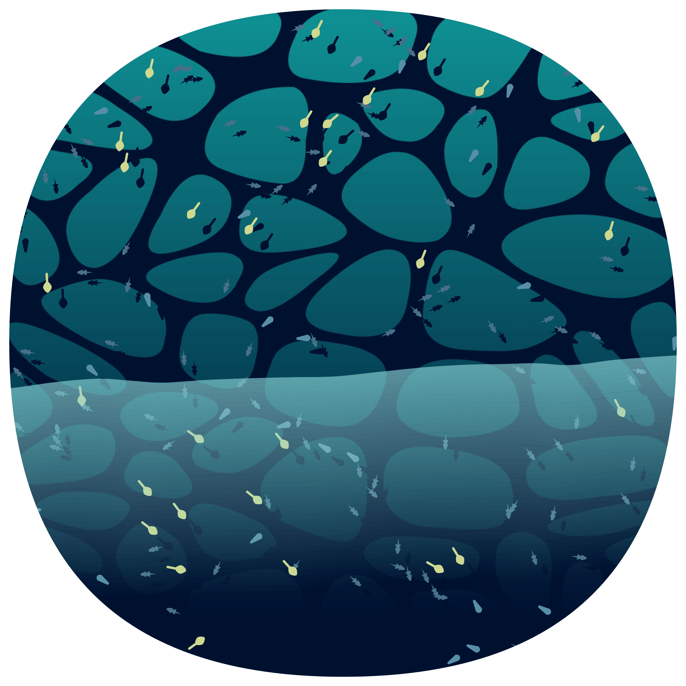 Low Tide