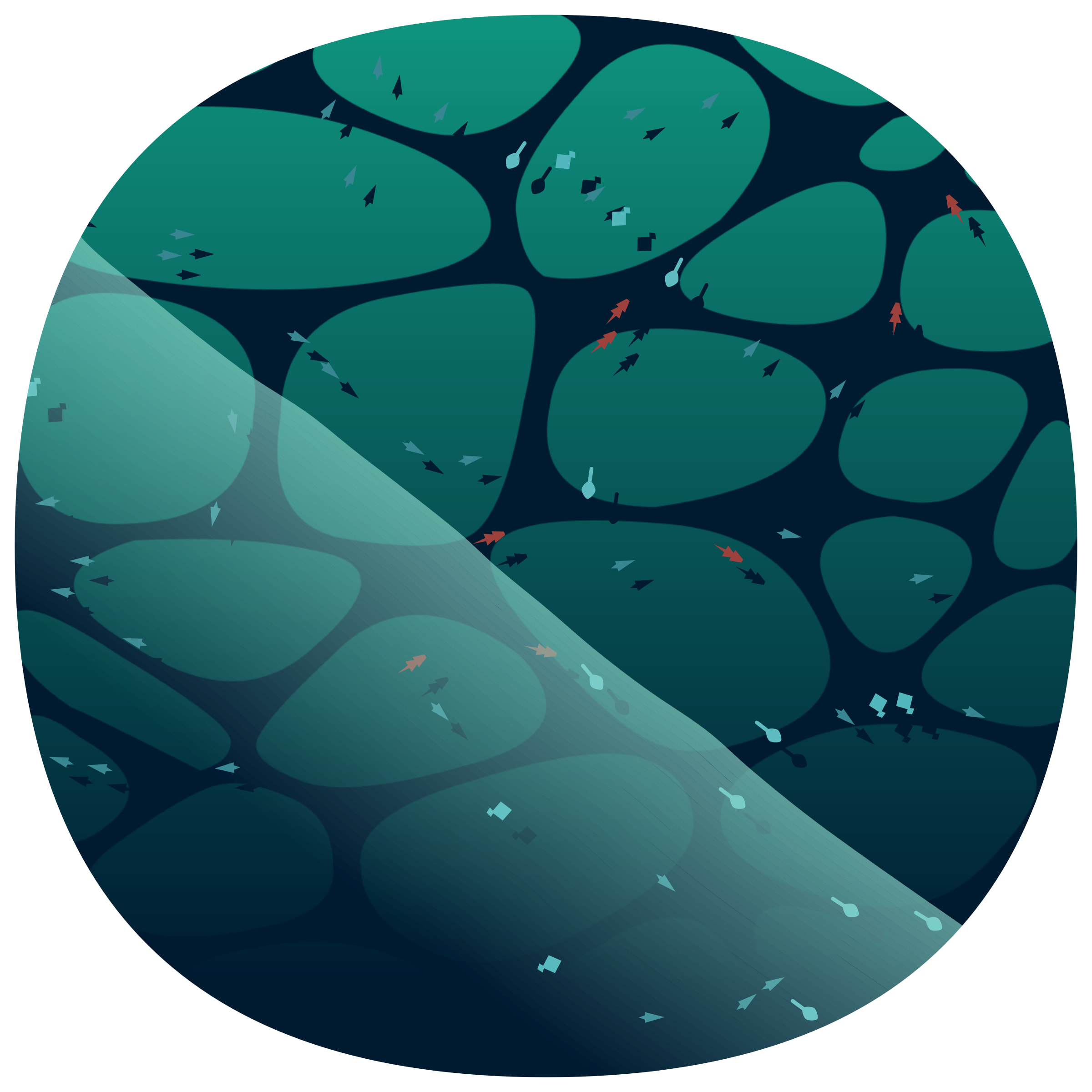 Featured token for: Low Tide
