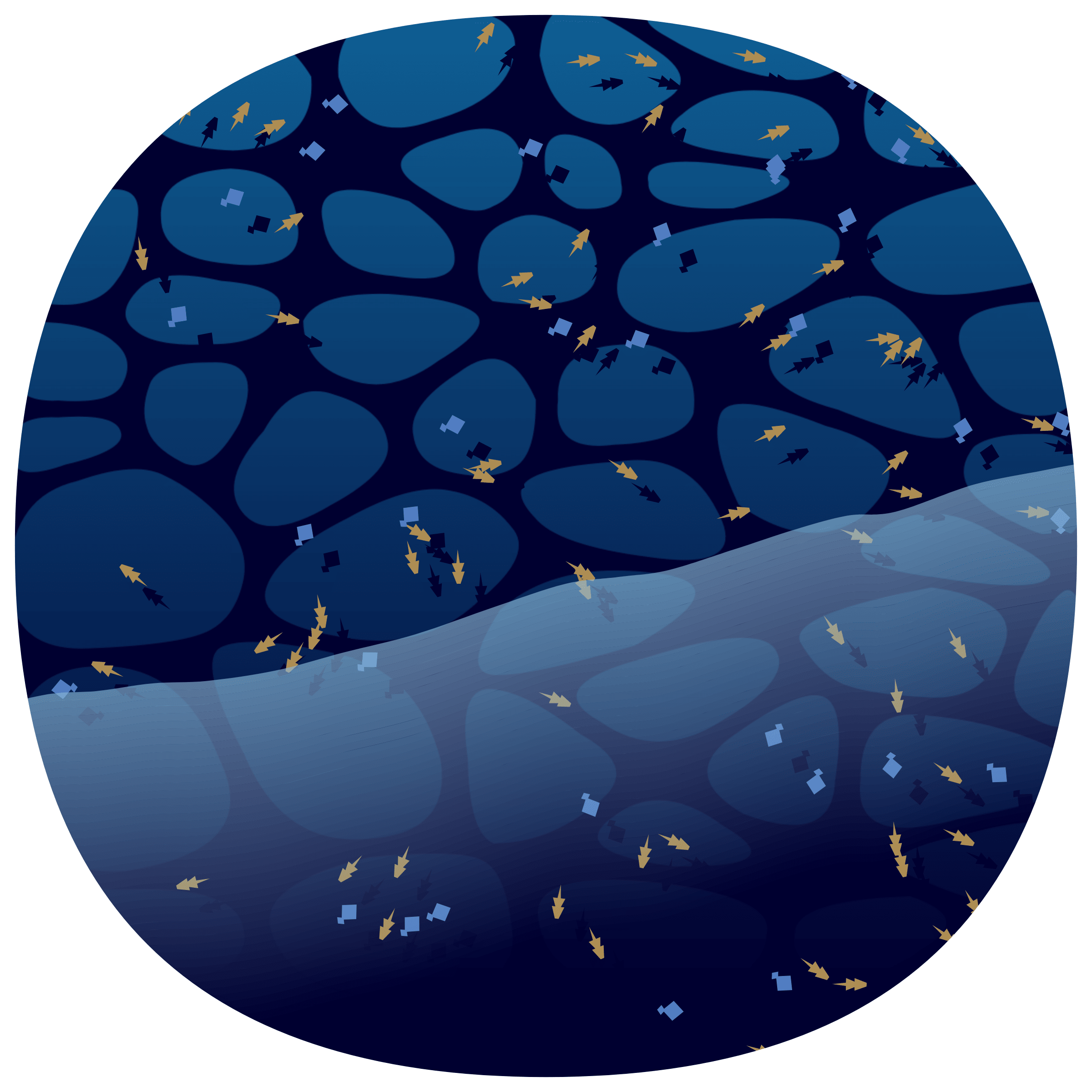 Featured token for: Low Tide