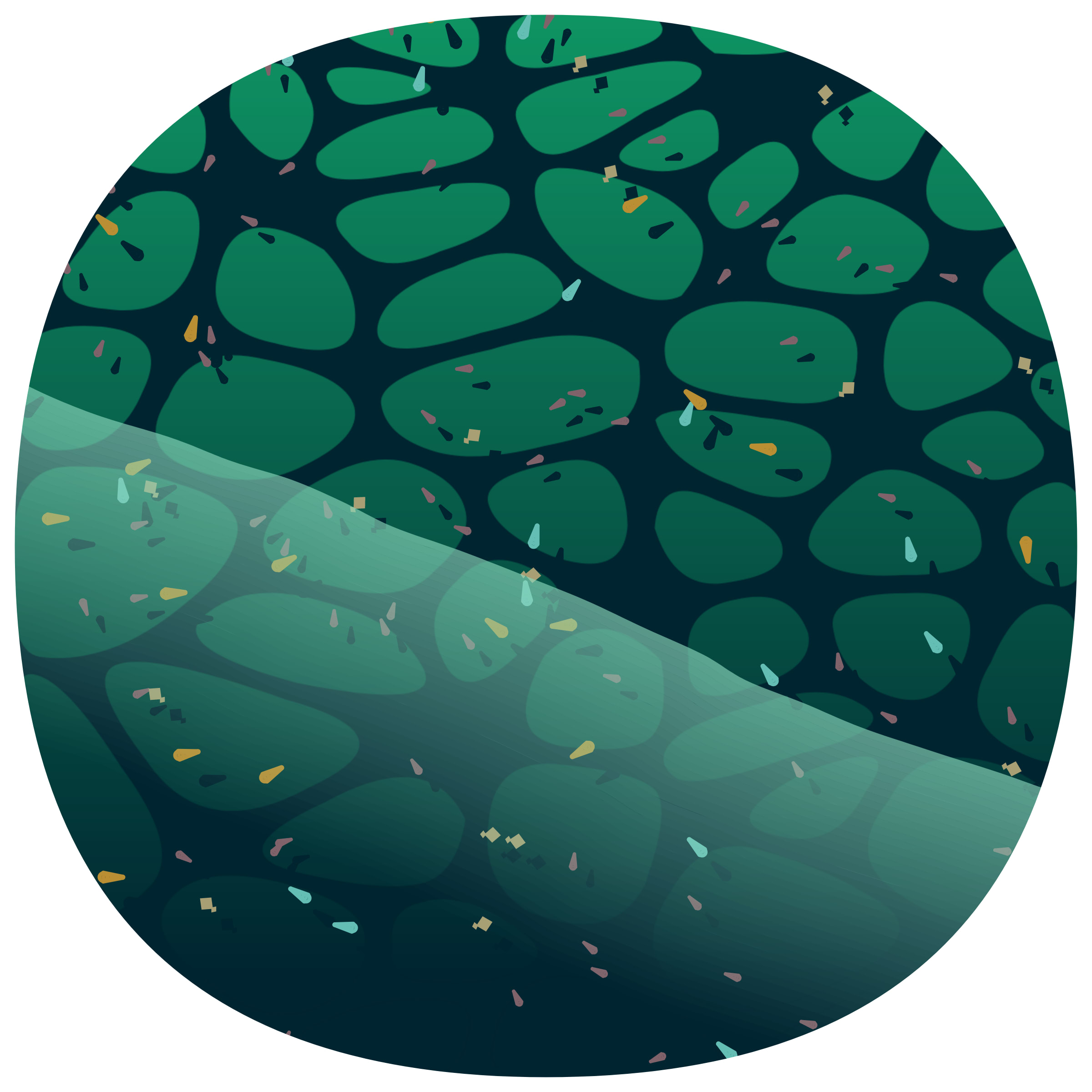 Featured token for: Low Tide
