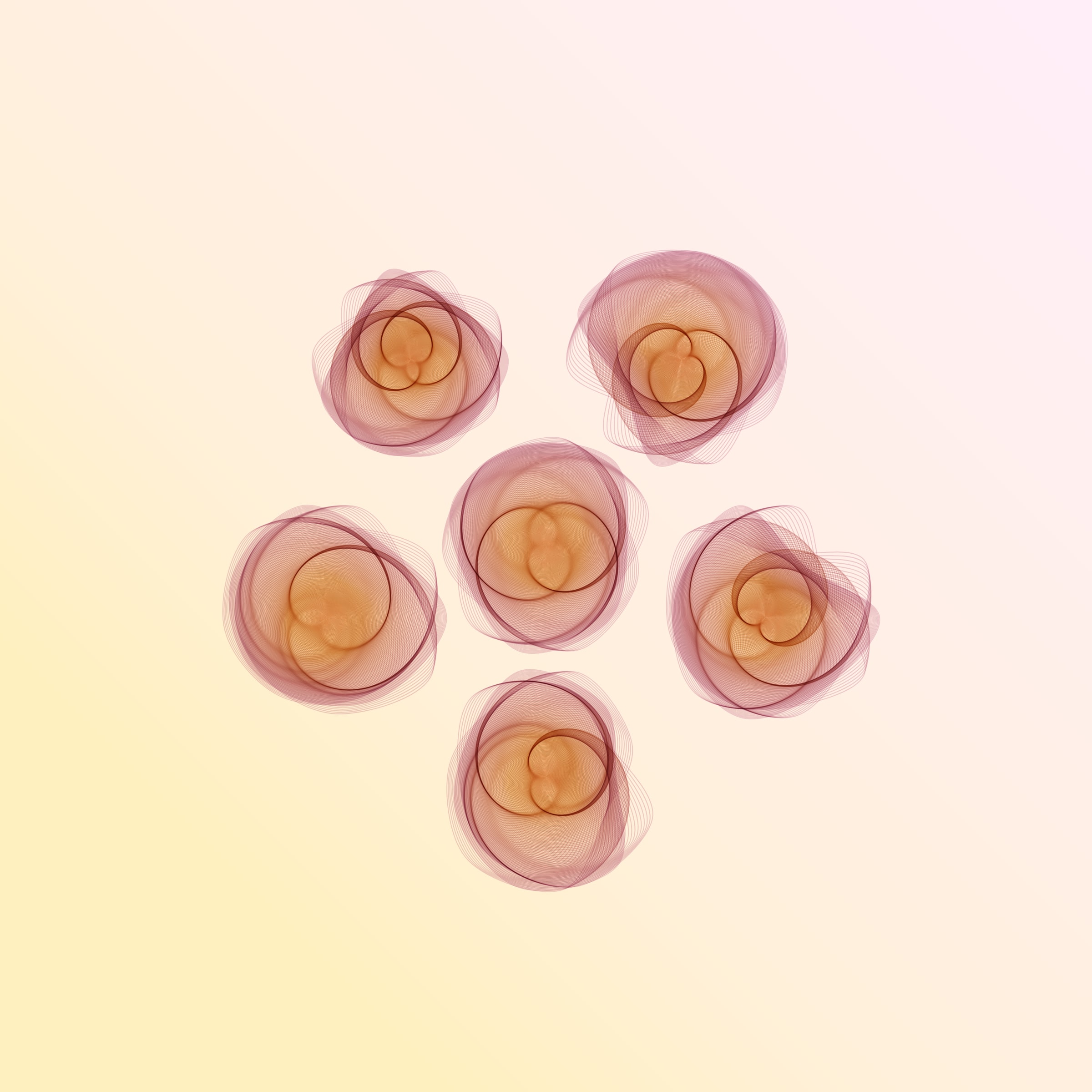 Flowers #116000309