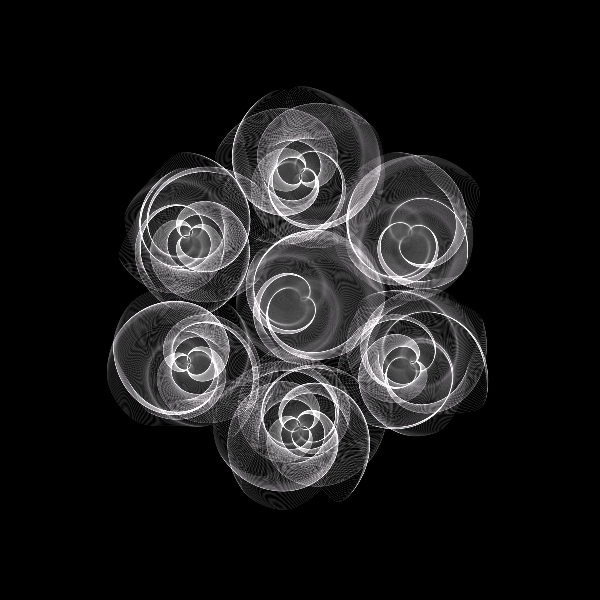 Flowers #116000488