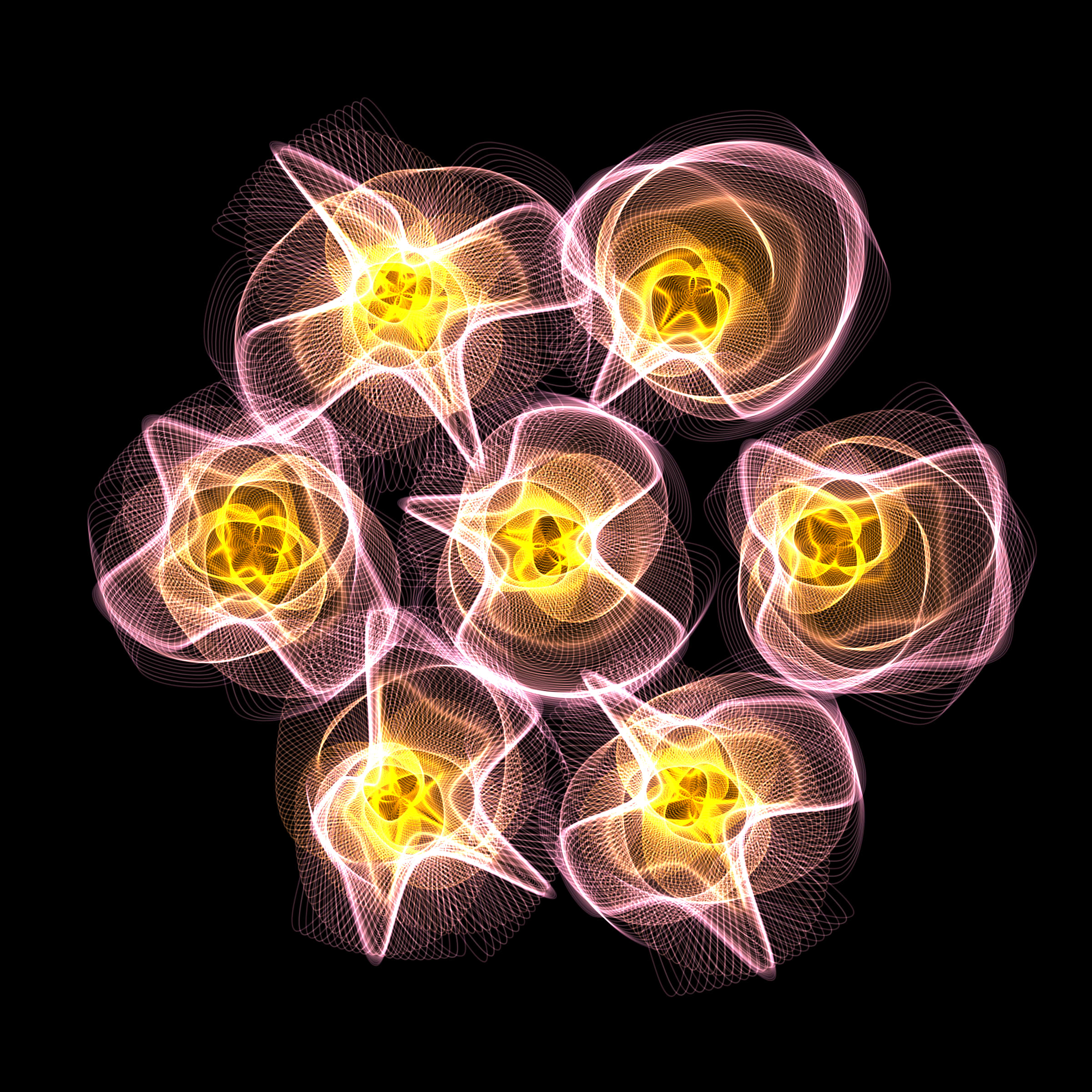 Flowers #116000495