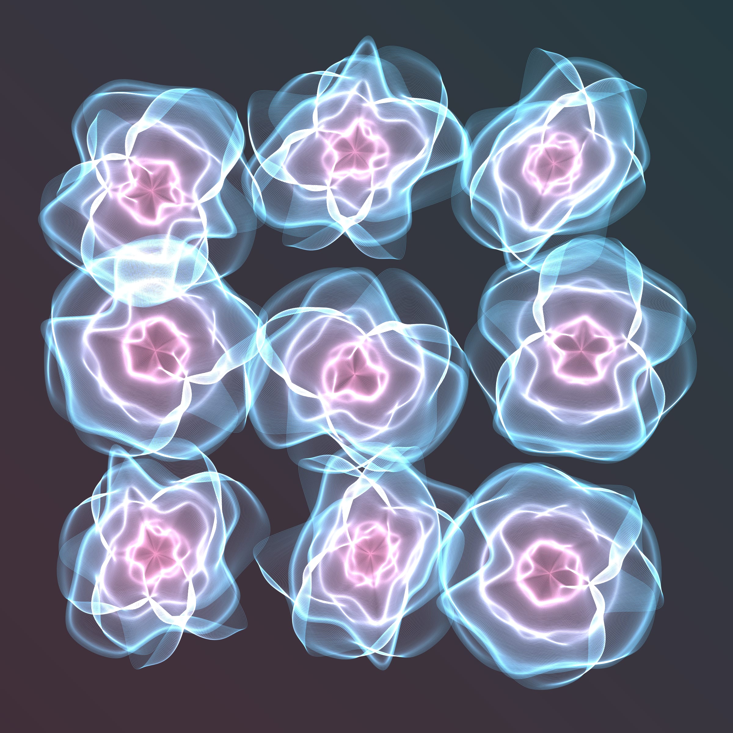 Flowers #116000604
