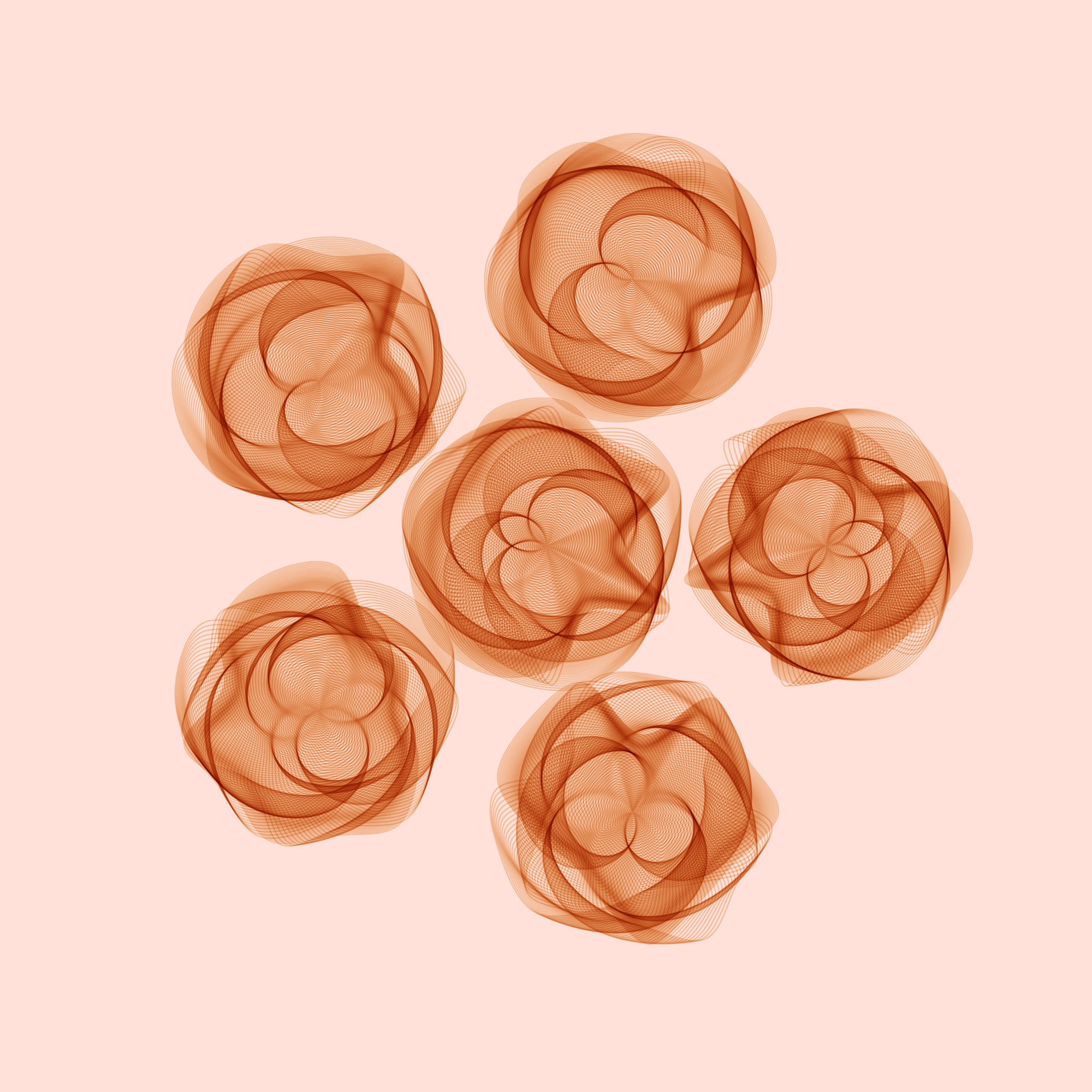 Flowers #116000721