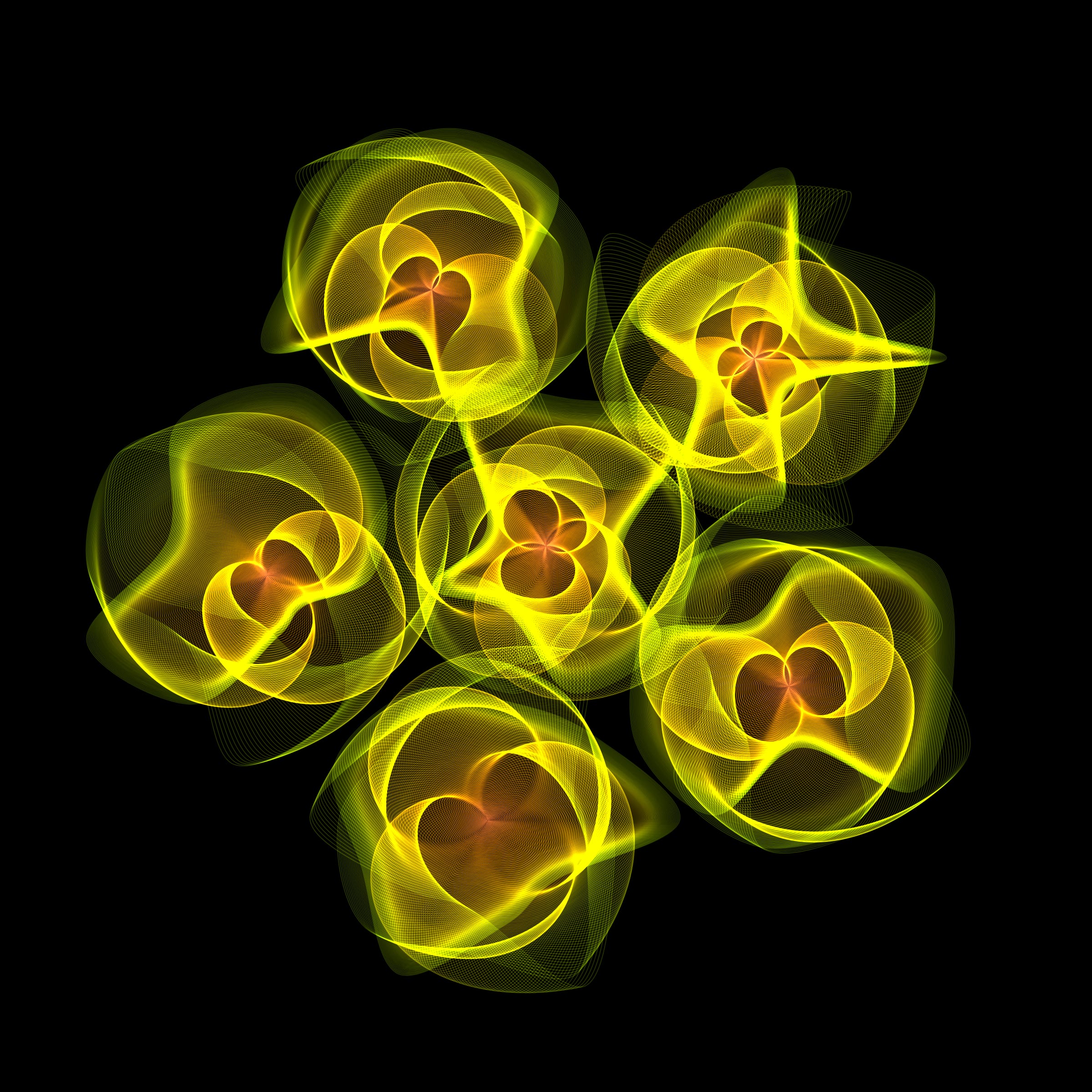 Flowers #116001378