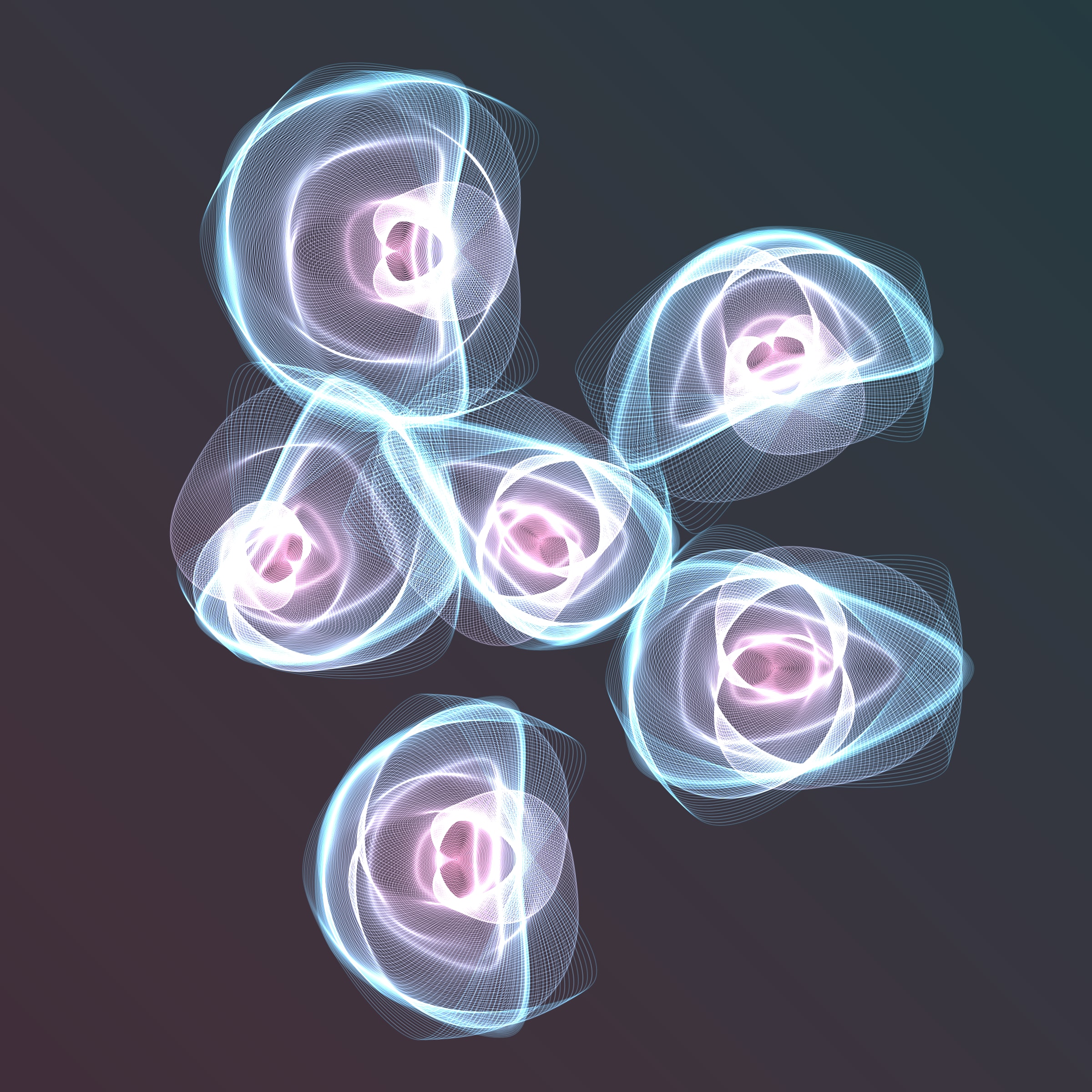 Flowers #116001411