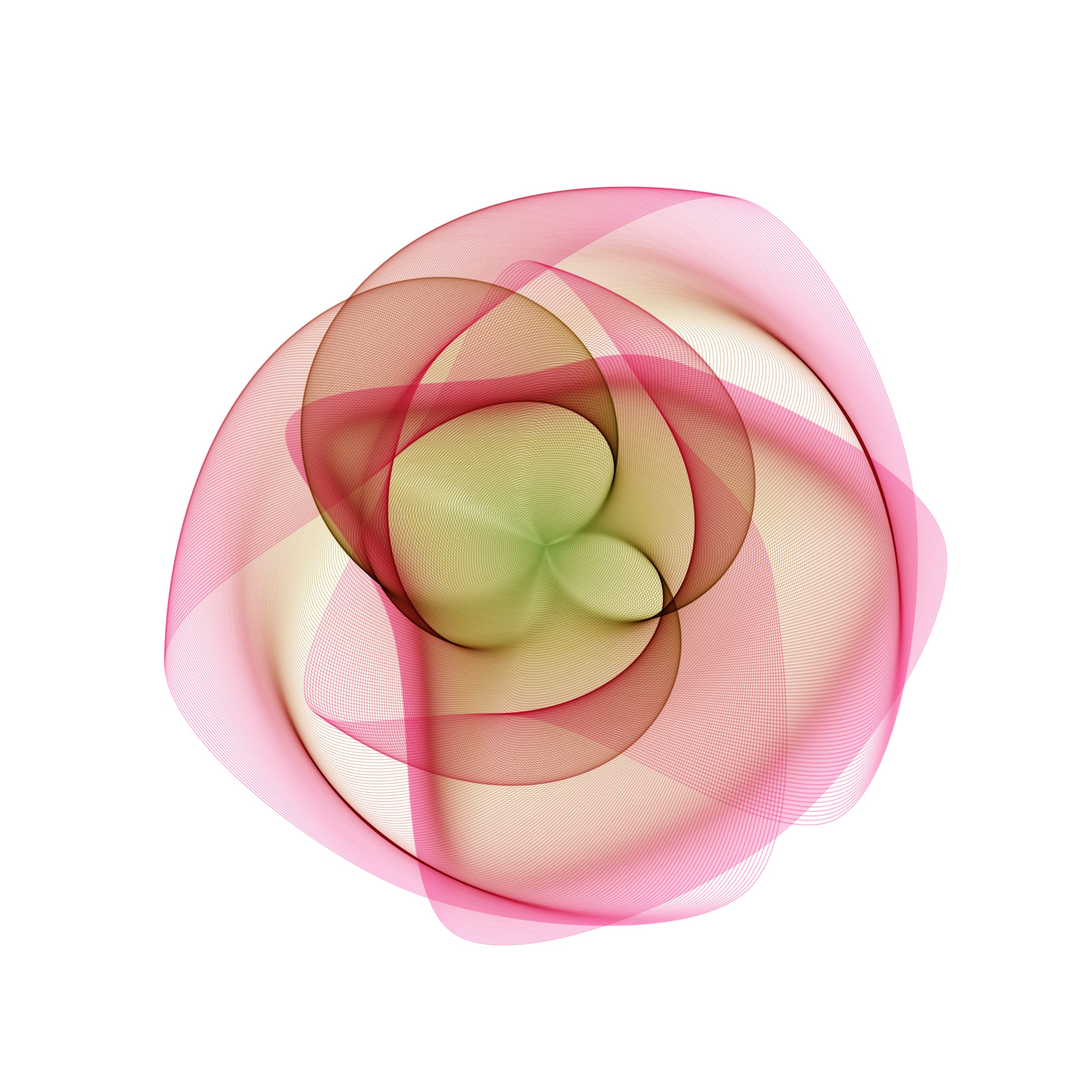 Flowers #116001445