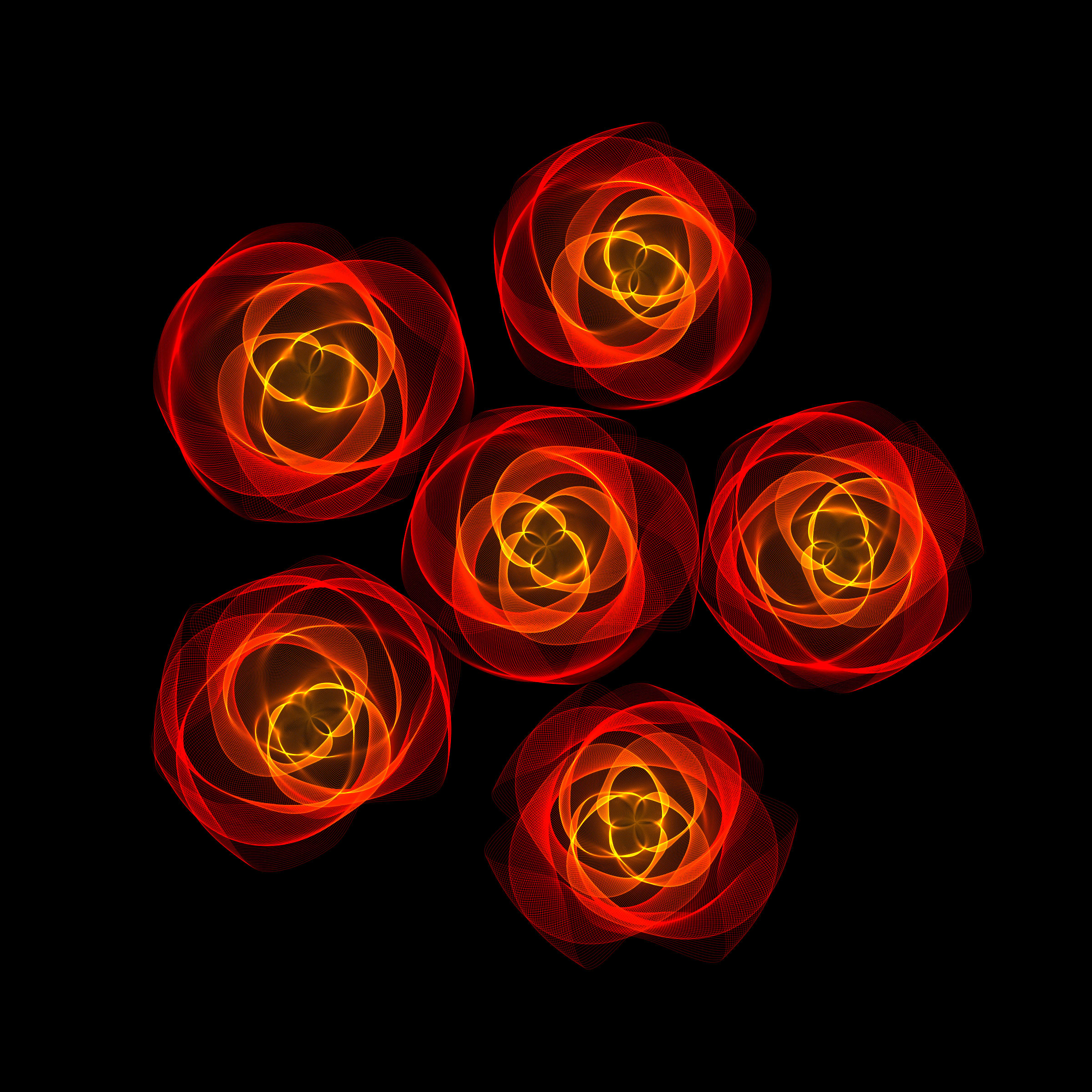 Flowers #116001819