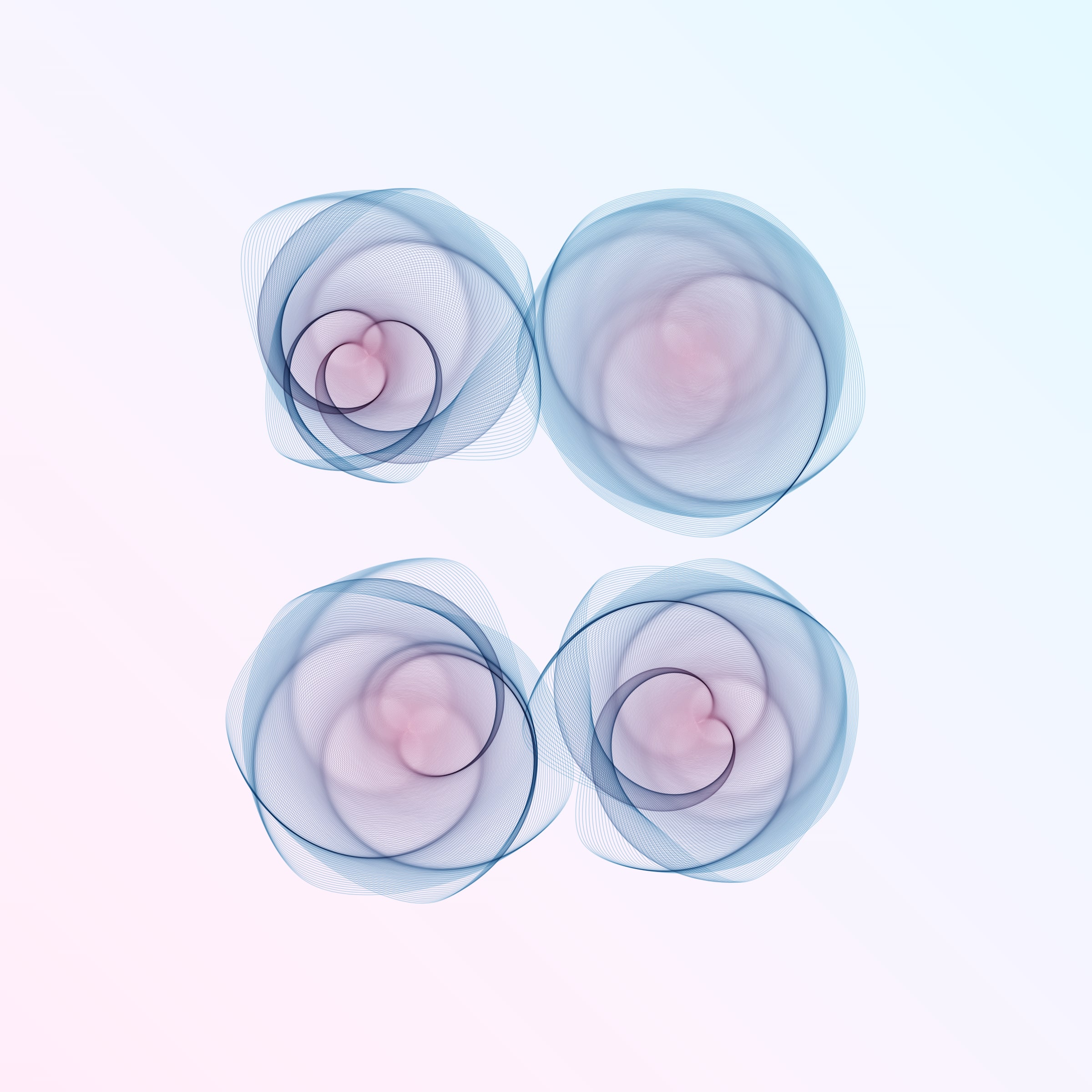 Flowers #116001895