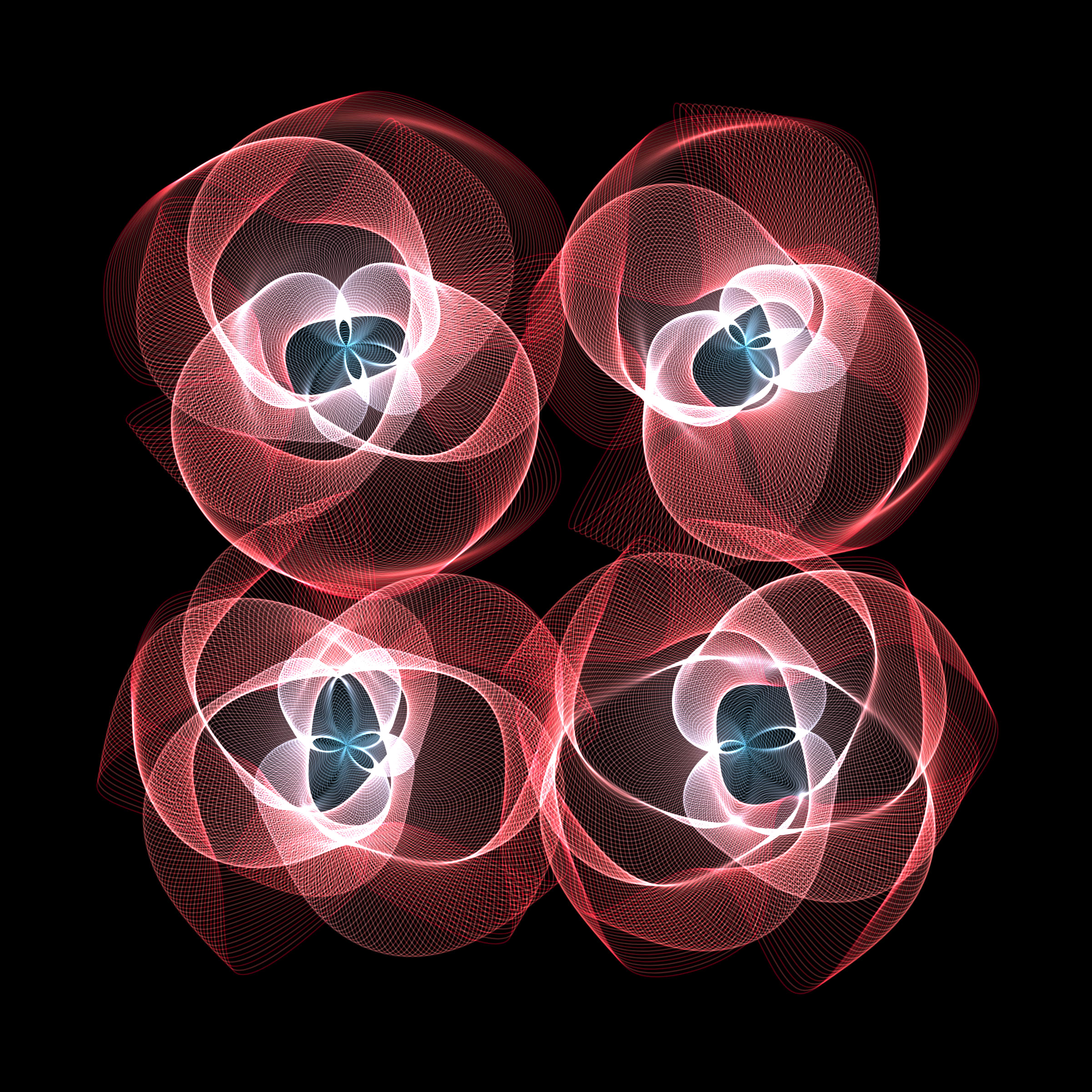 Flowers #116002002