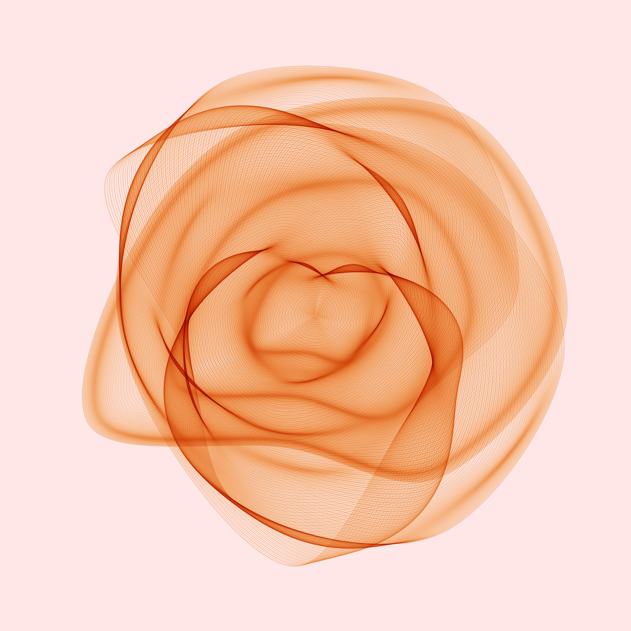 Flowers #116002022