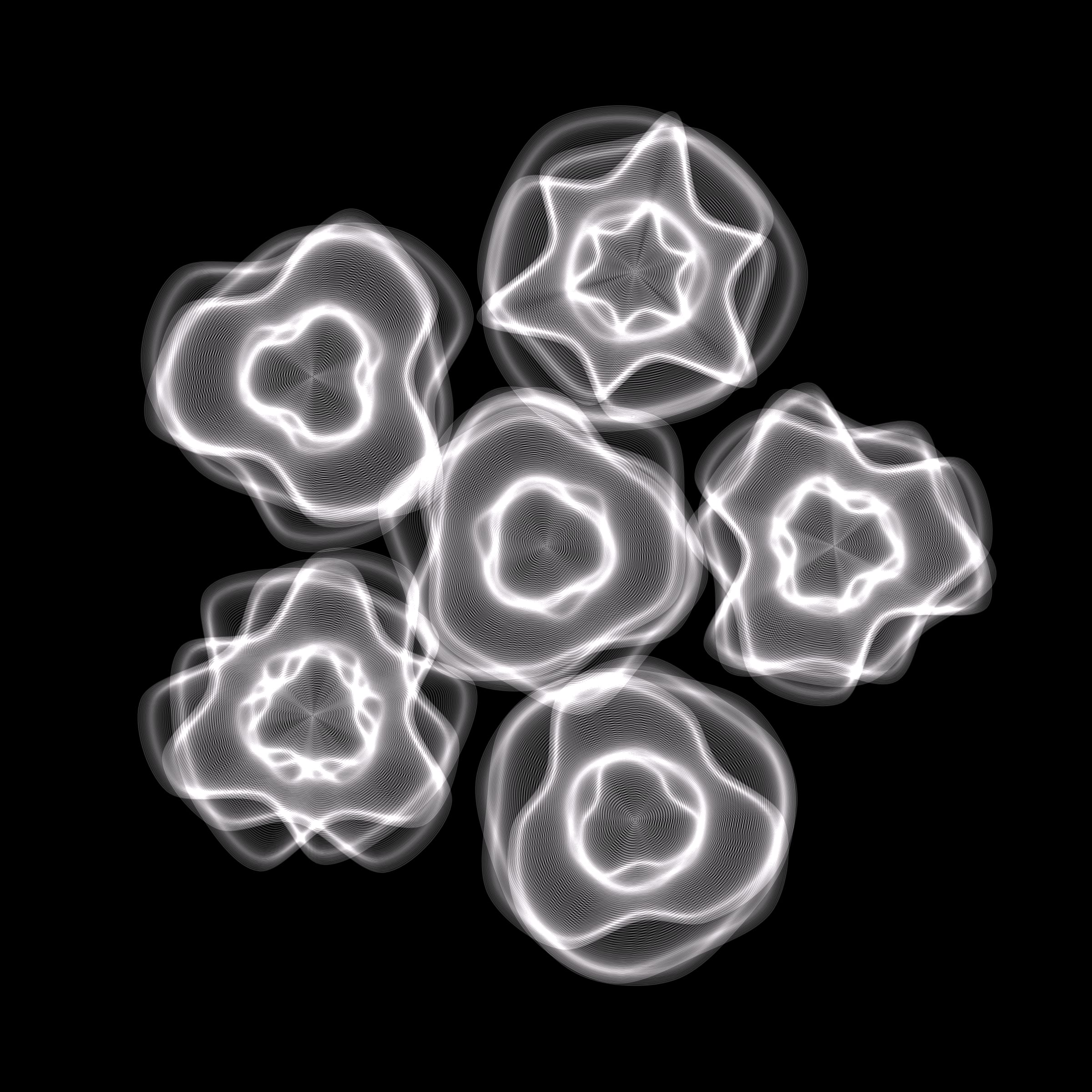 Flowers #116002461
