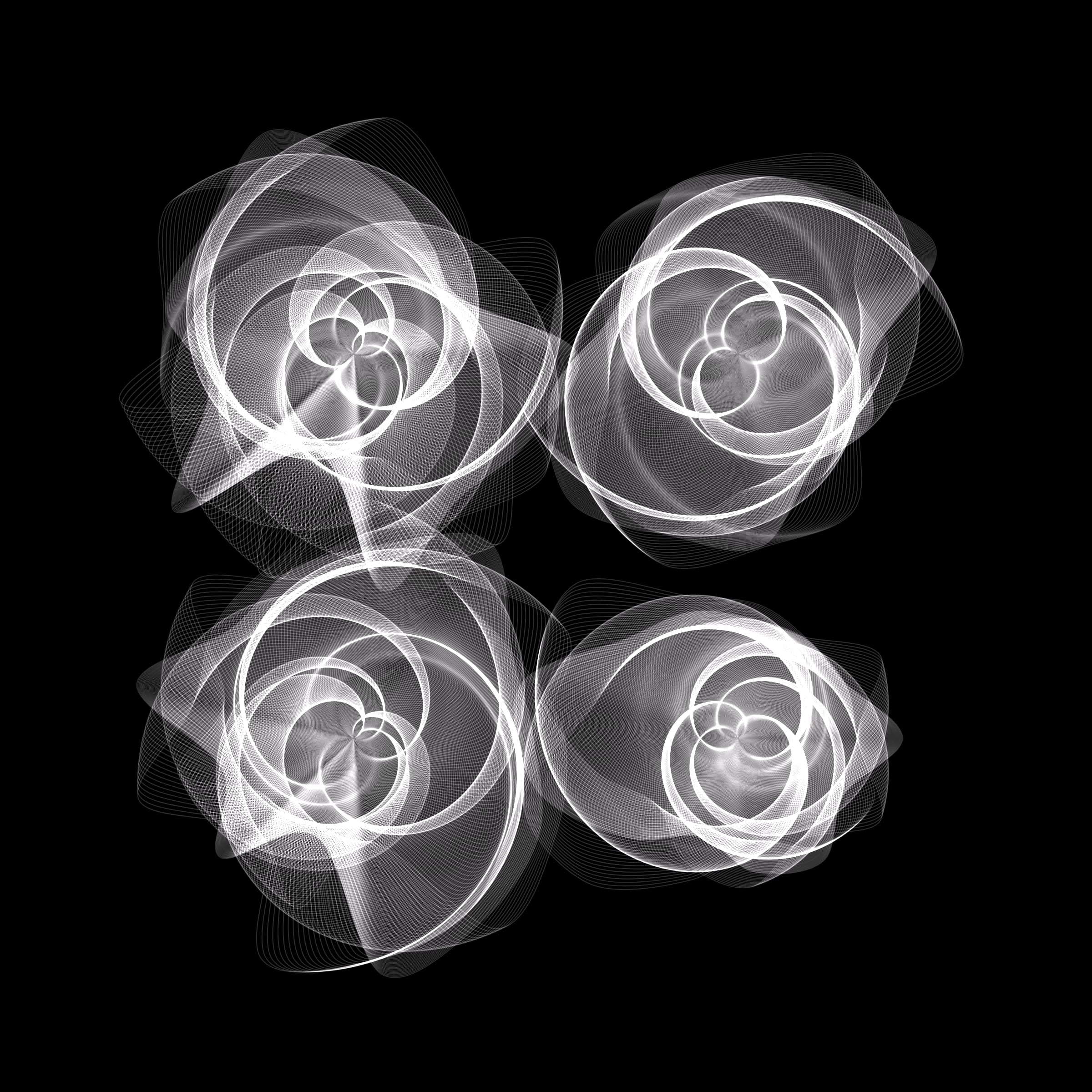 Flowers #116002562