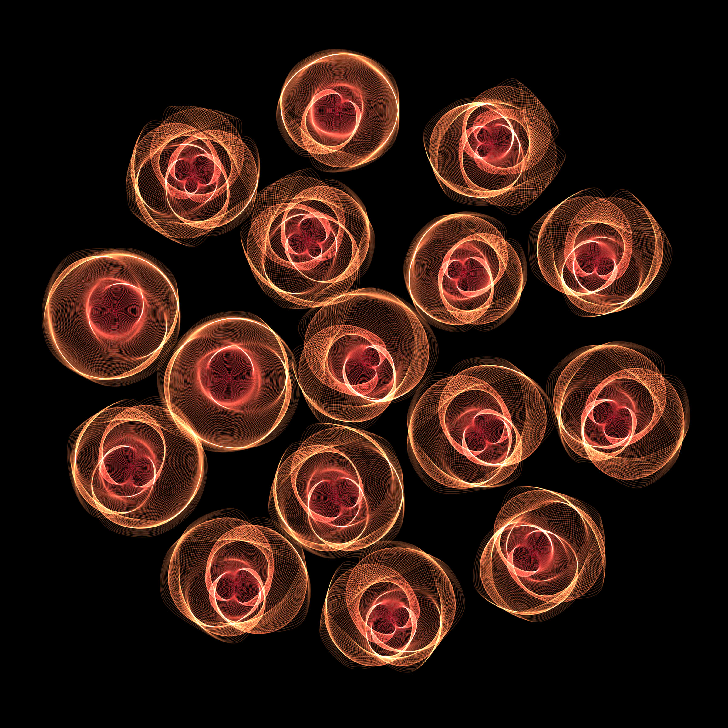 Flowers #116002566