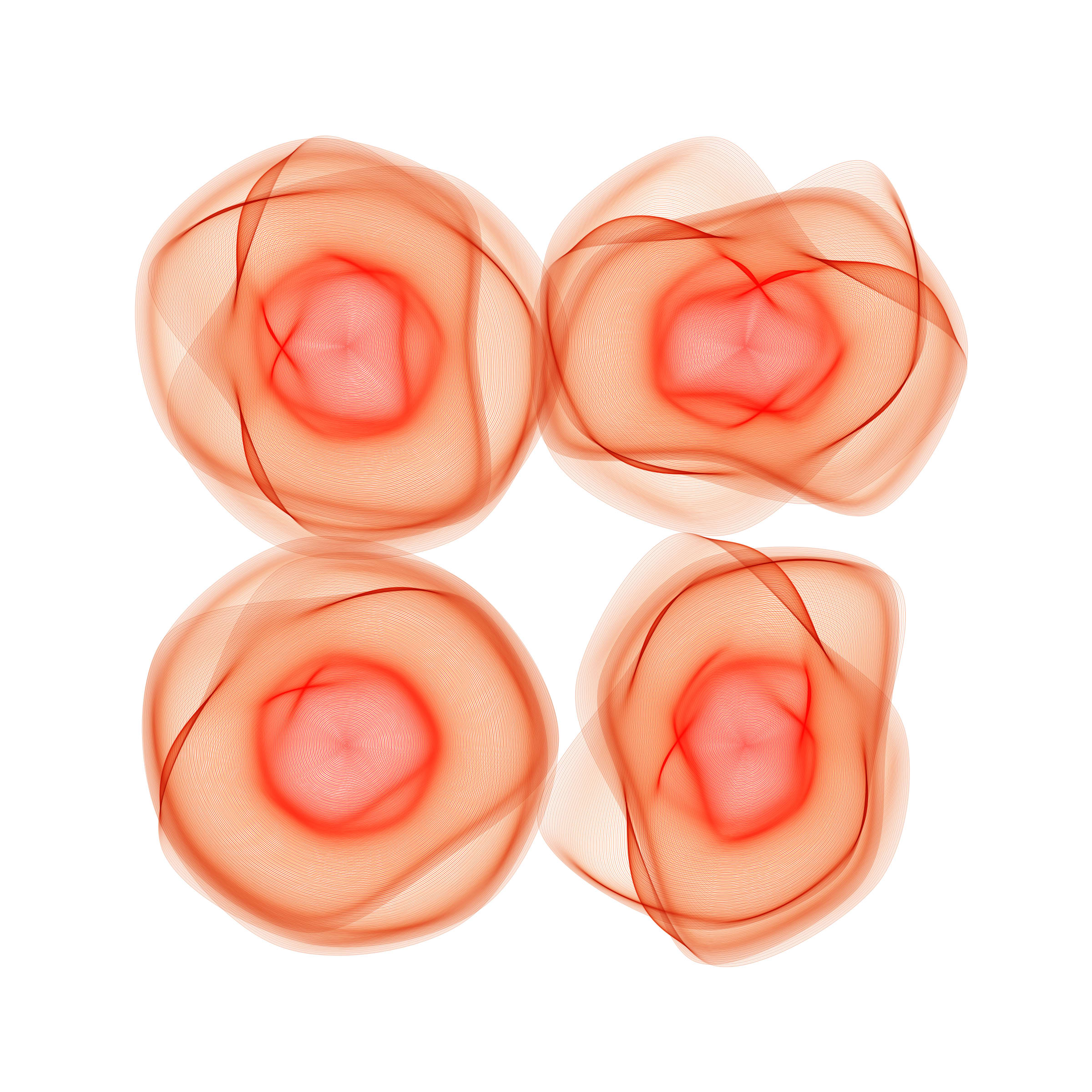 Flowers #116002951