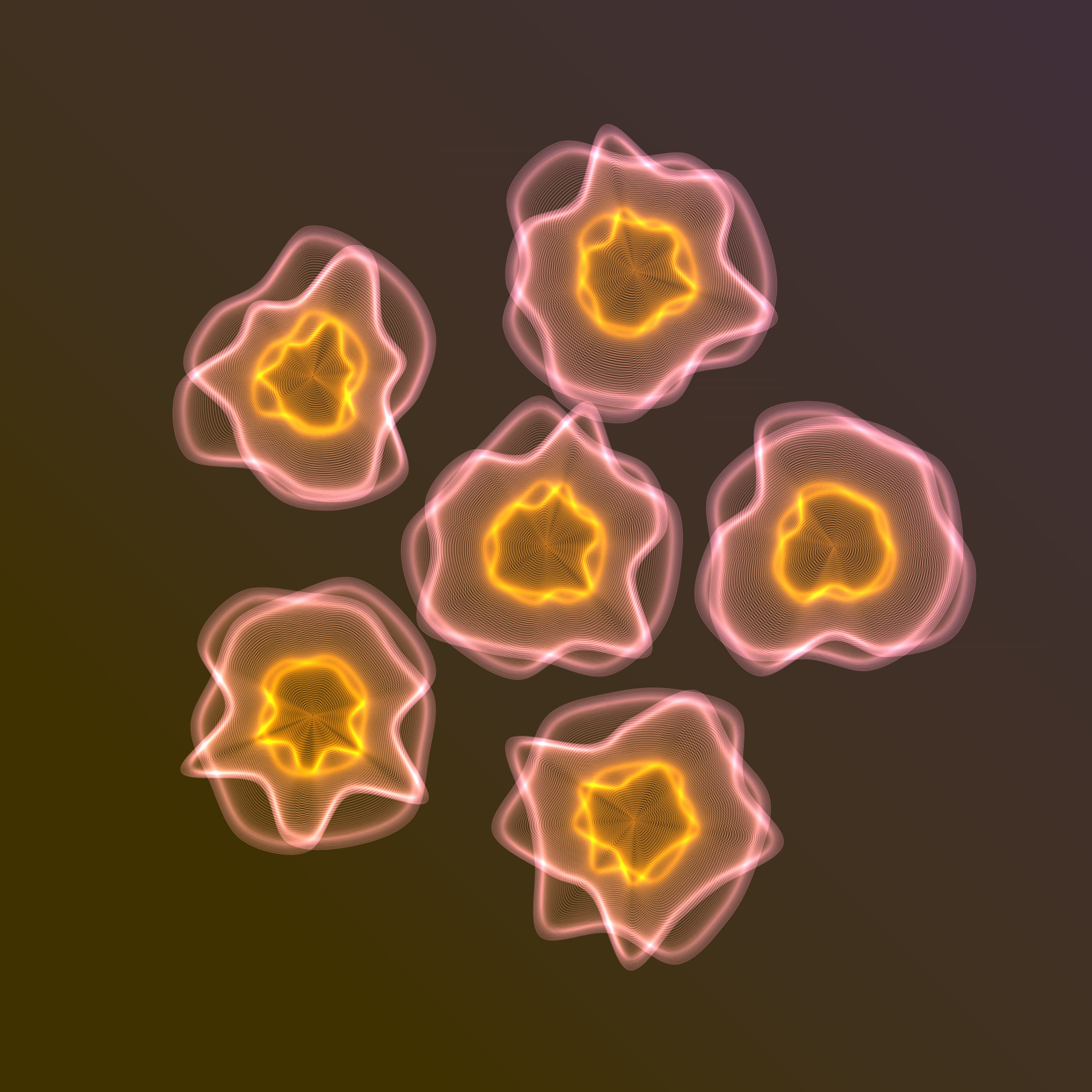 Flowers #116003048