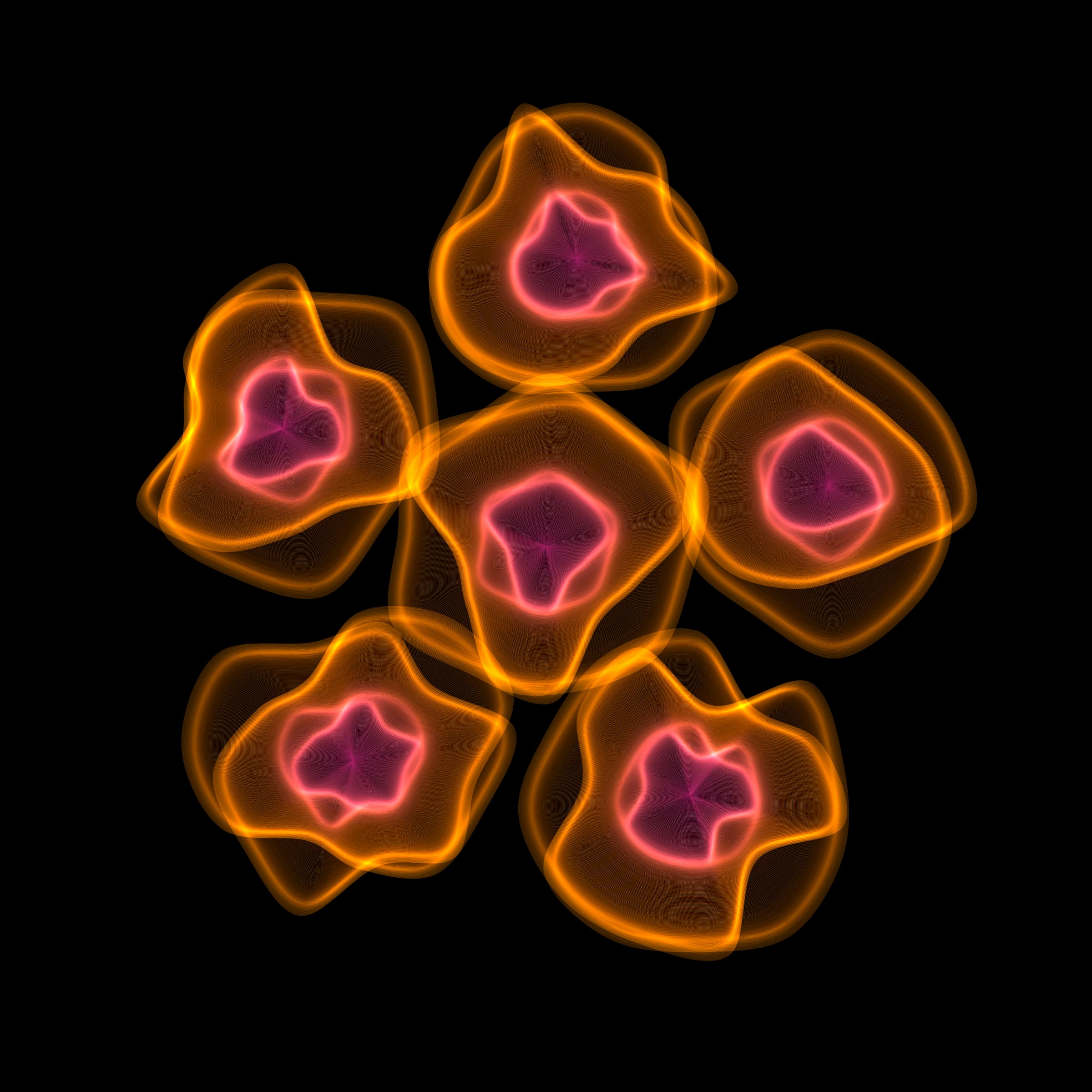 Flowers #116003470
