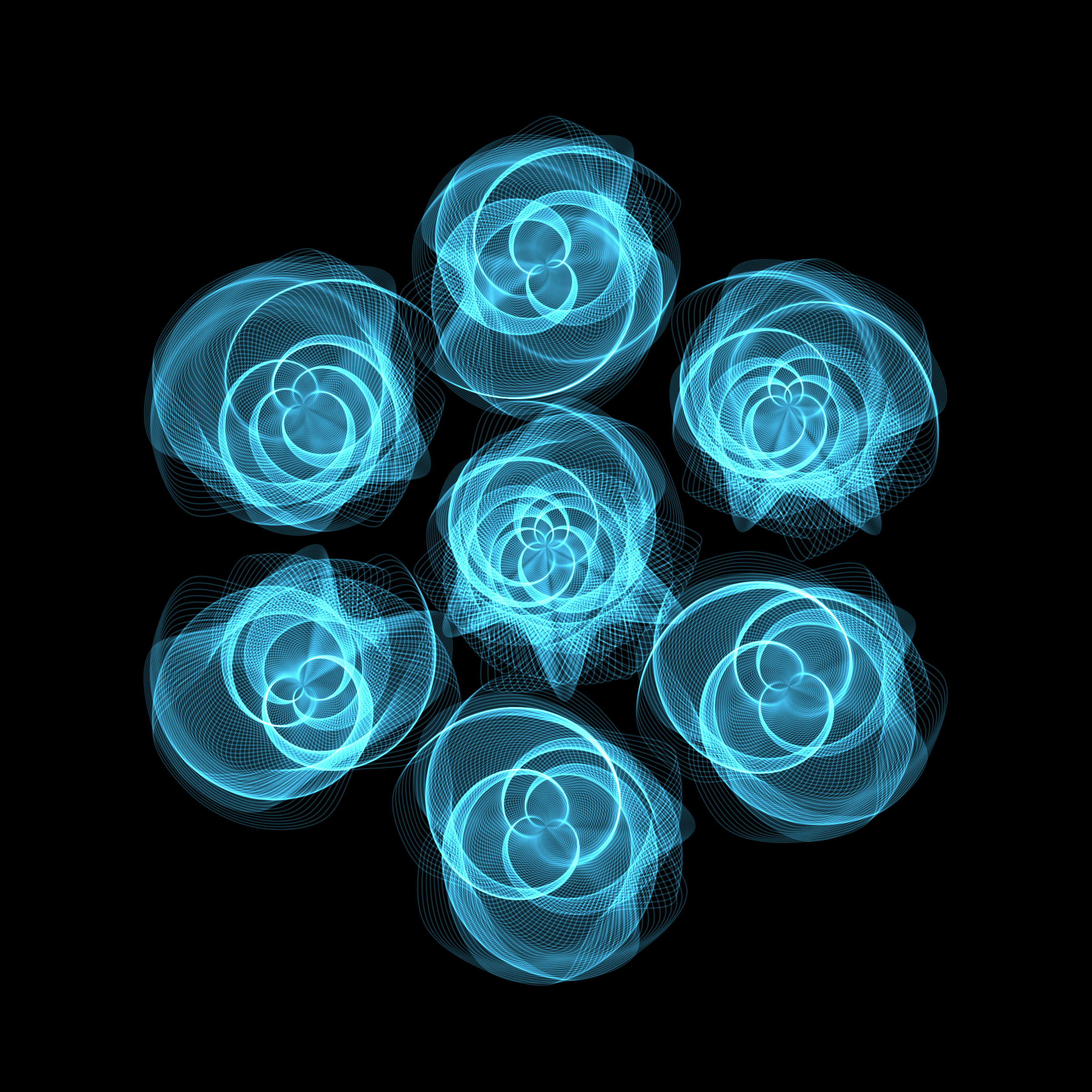 Flowers #116003601