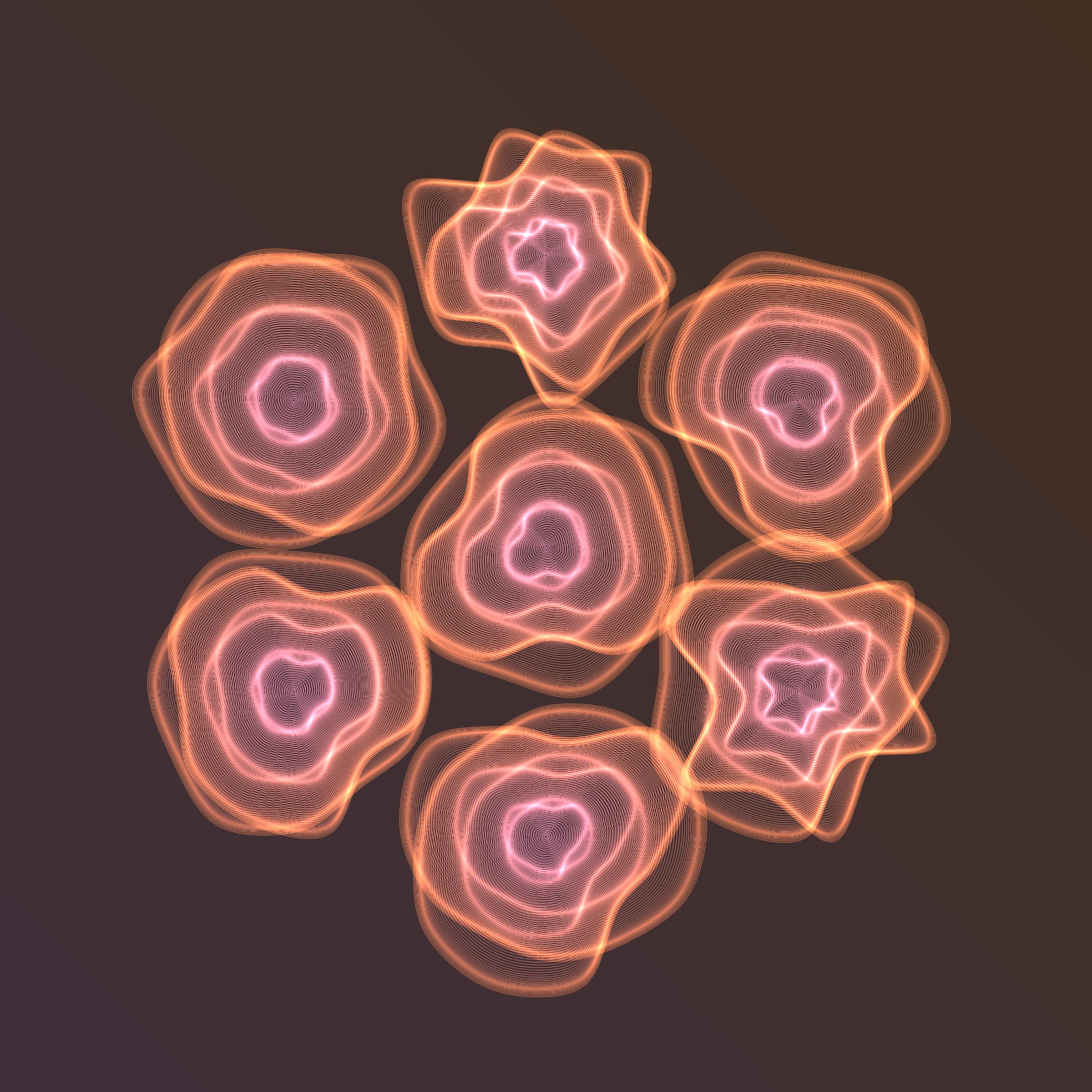 Flowers #116003685