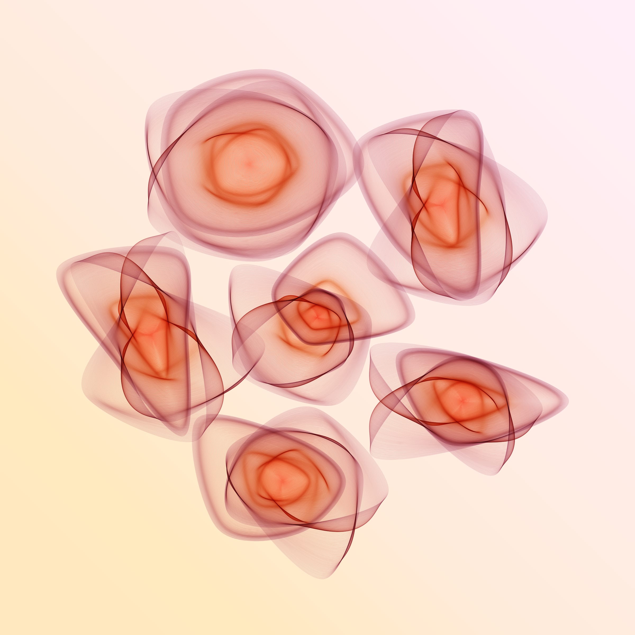 Flowers #116003708