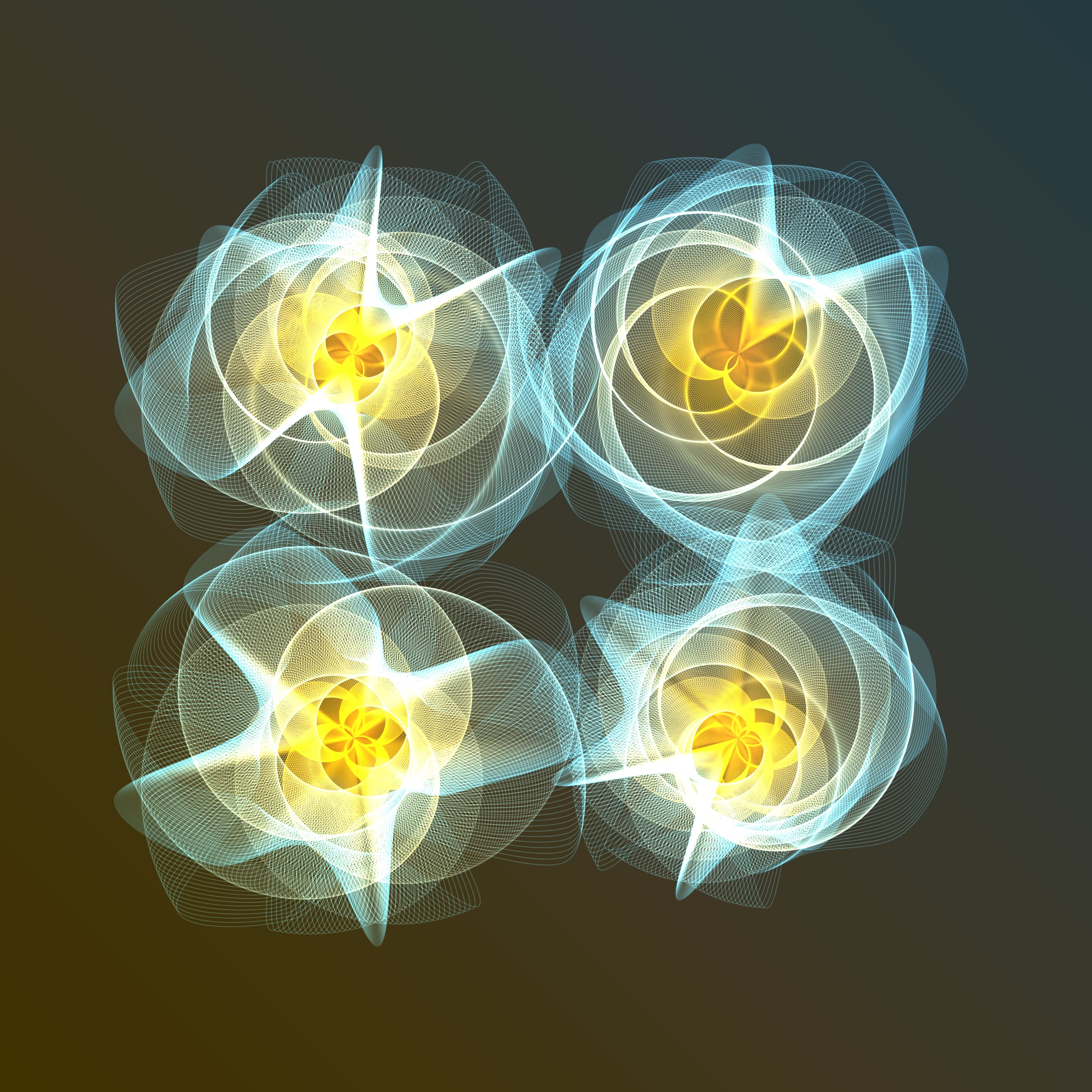 Flowers #116003804