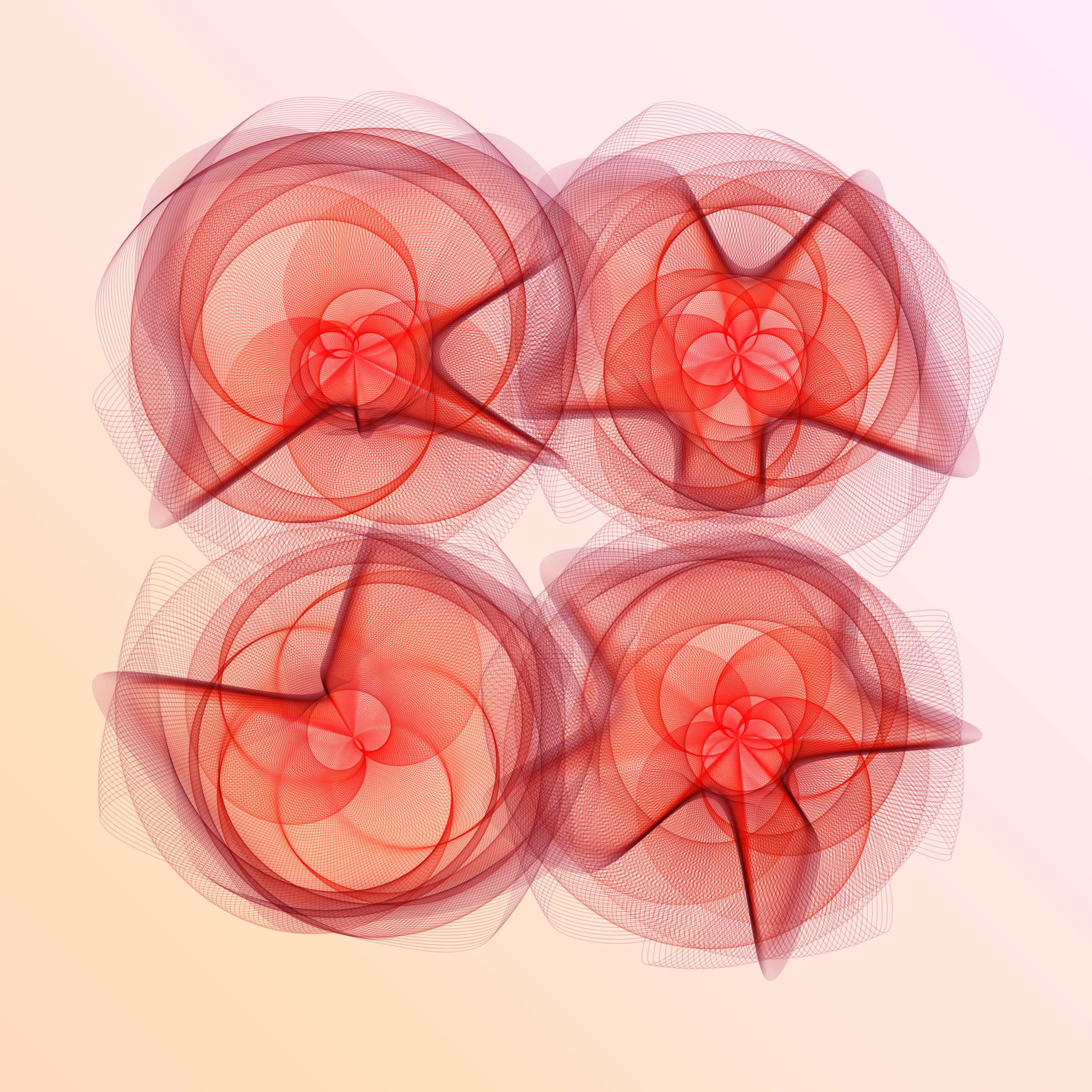 Flowers #116003866