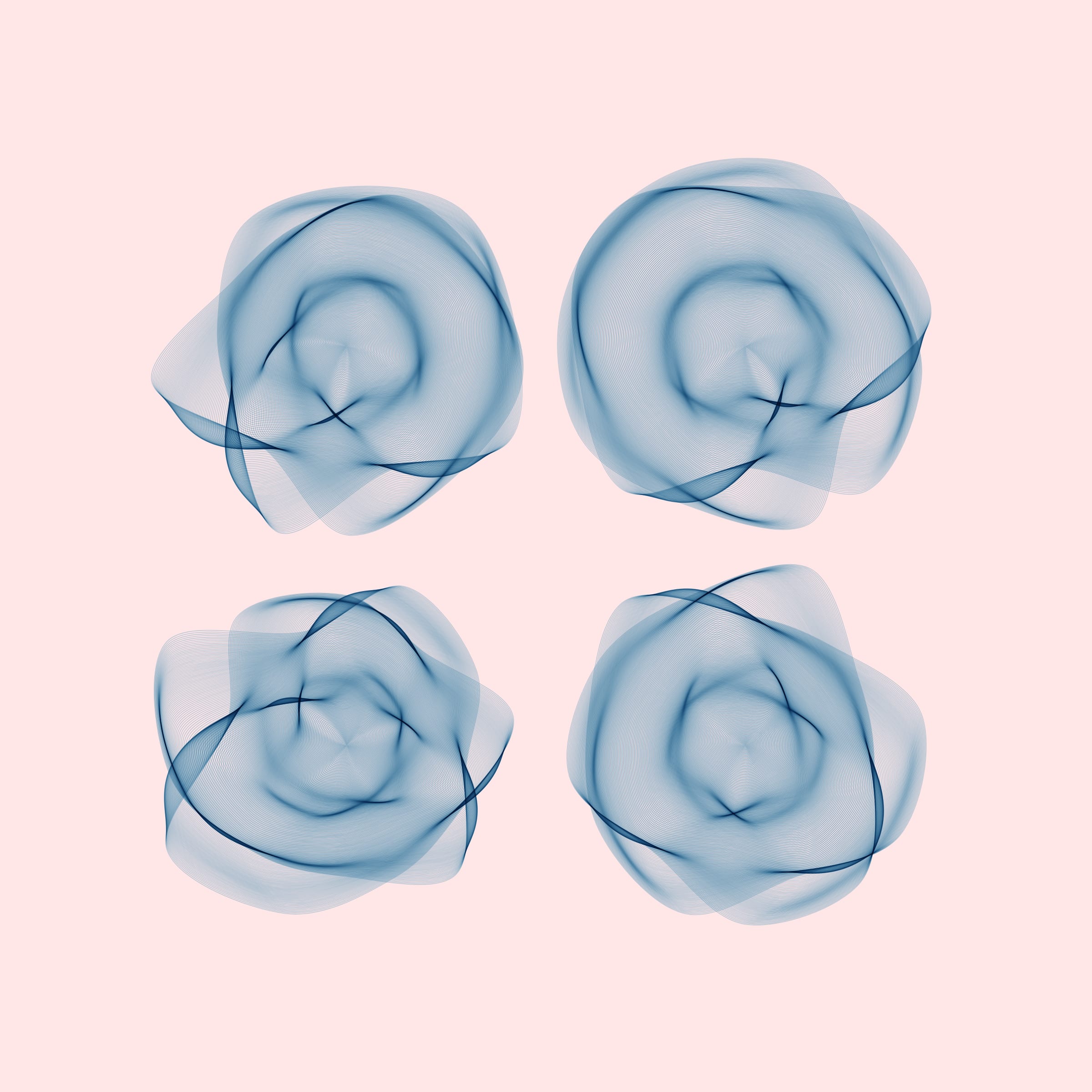 Flowers #116003886