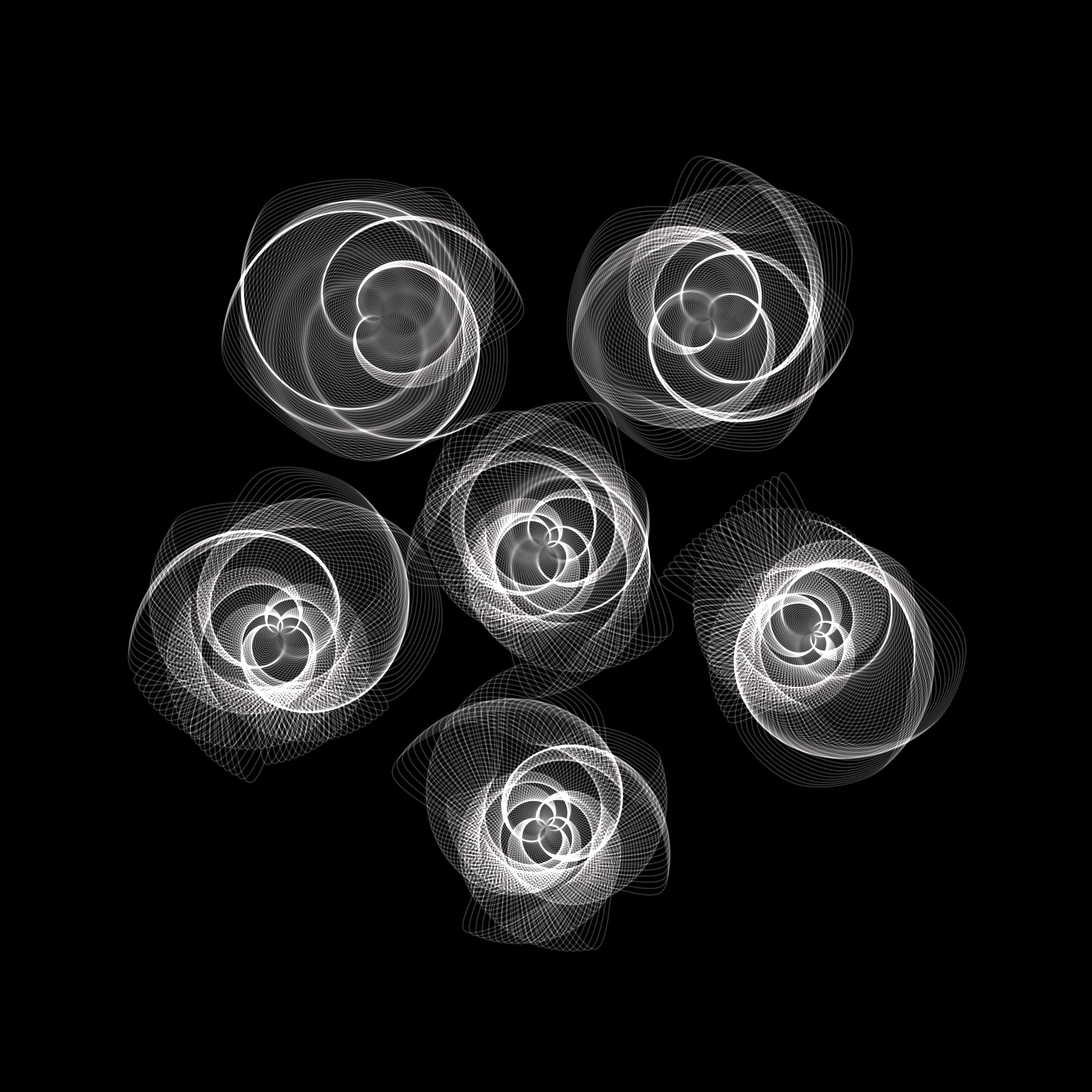 Flowers #116004012