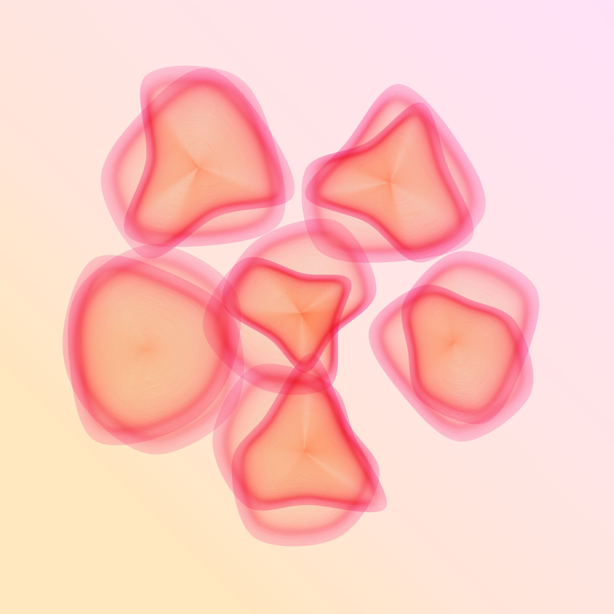 Flowers #116004022