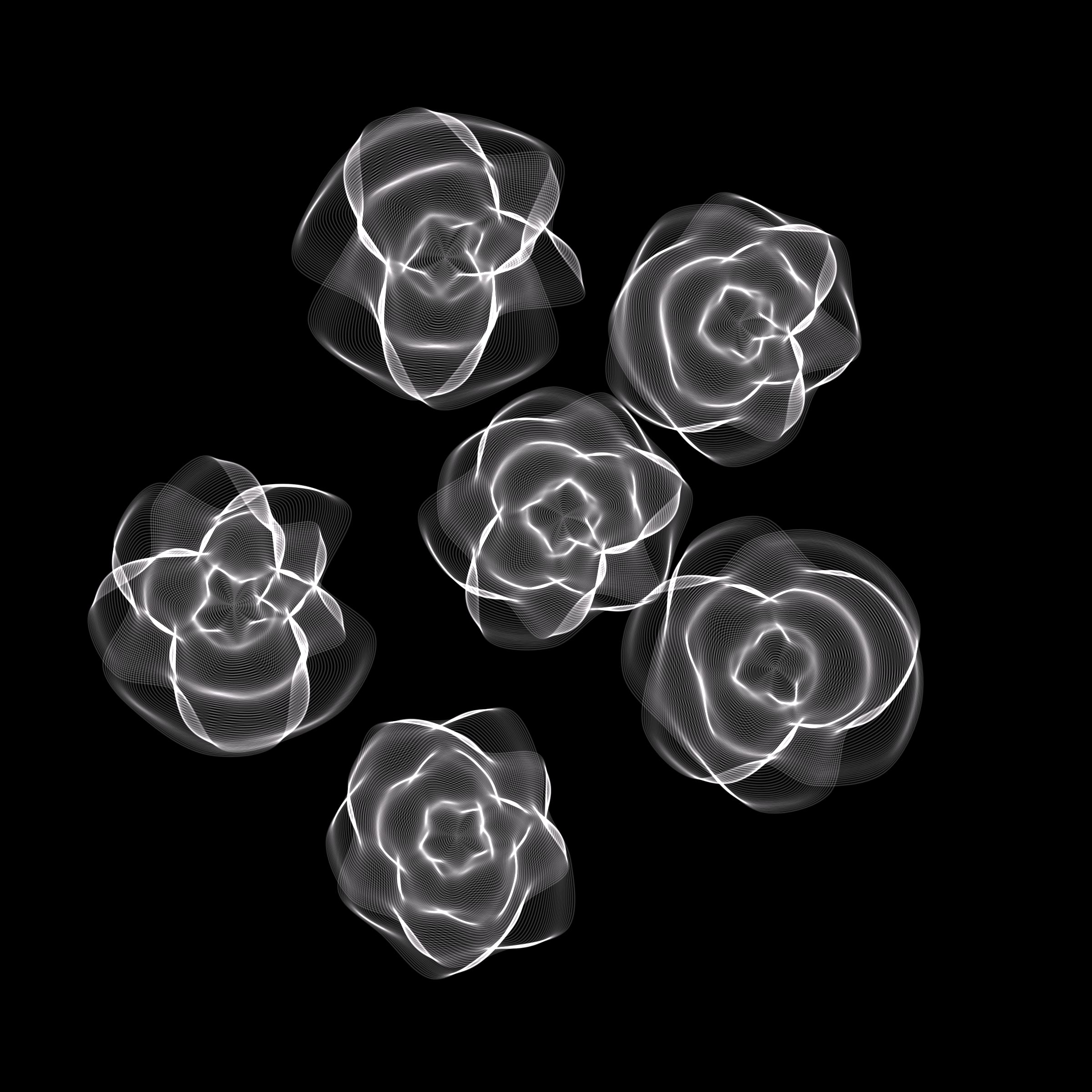 Flowers #116004252