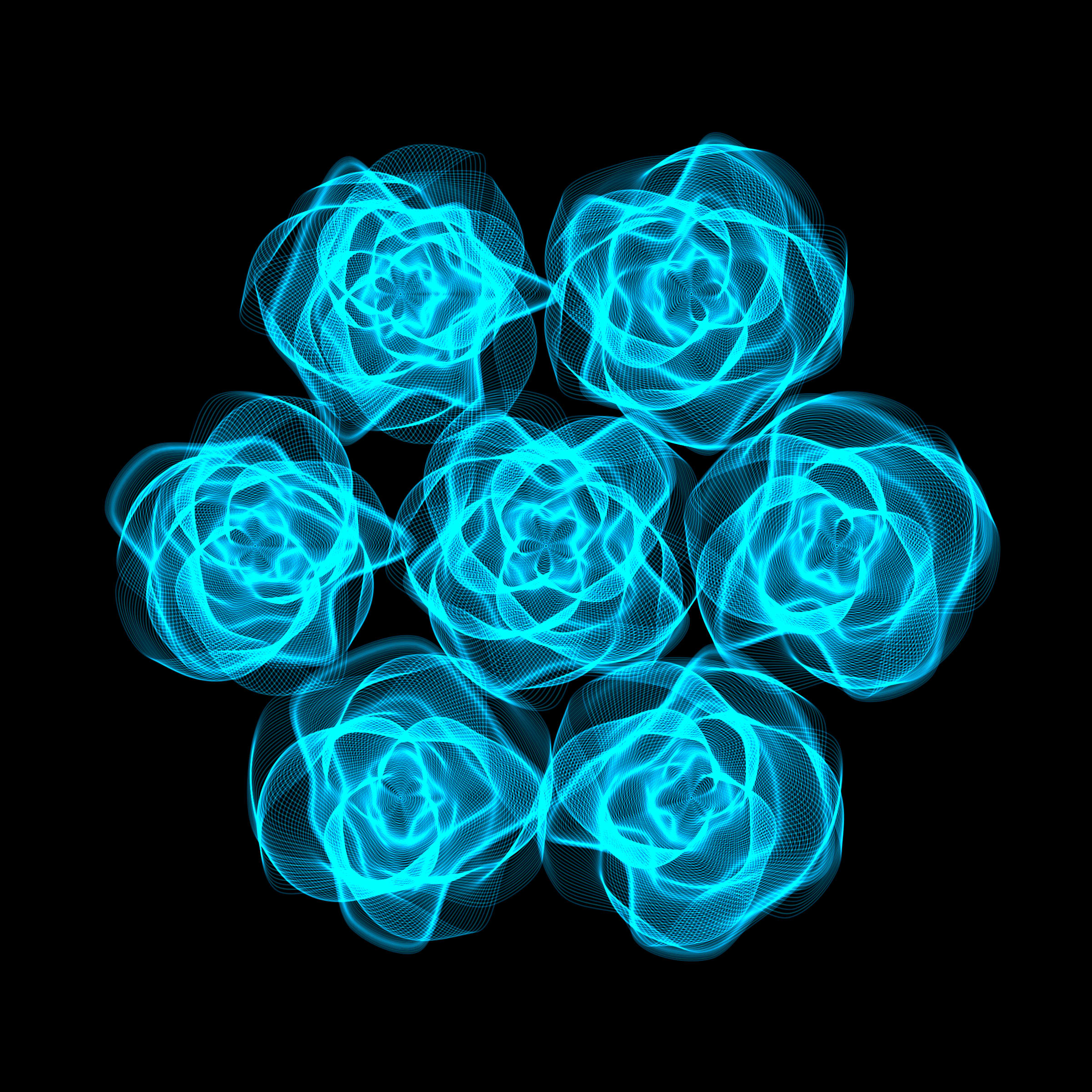 Flowers #116004465