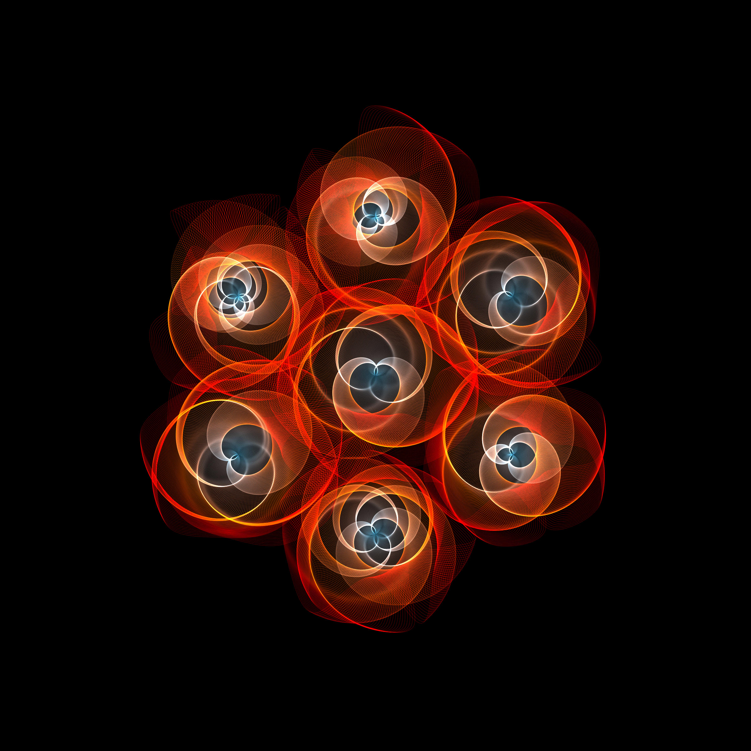 Flowers #116004466