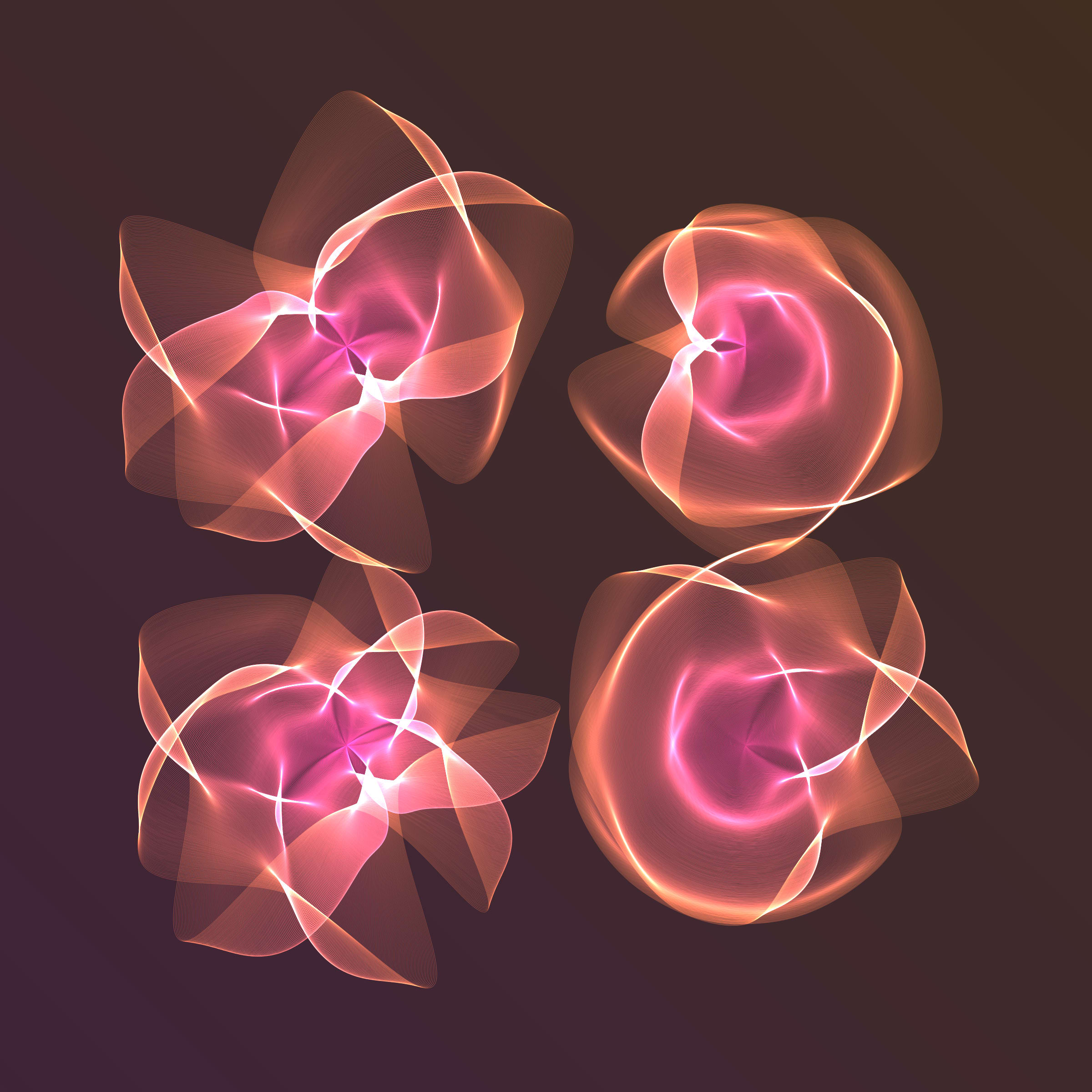Flowers #116004548