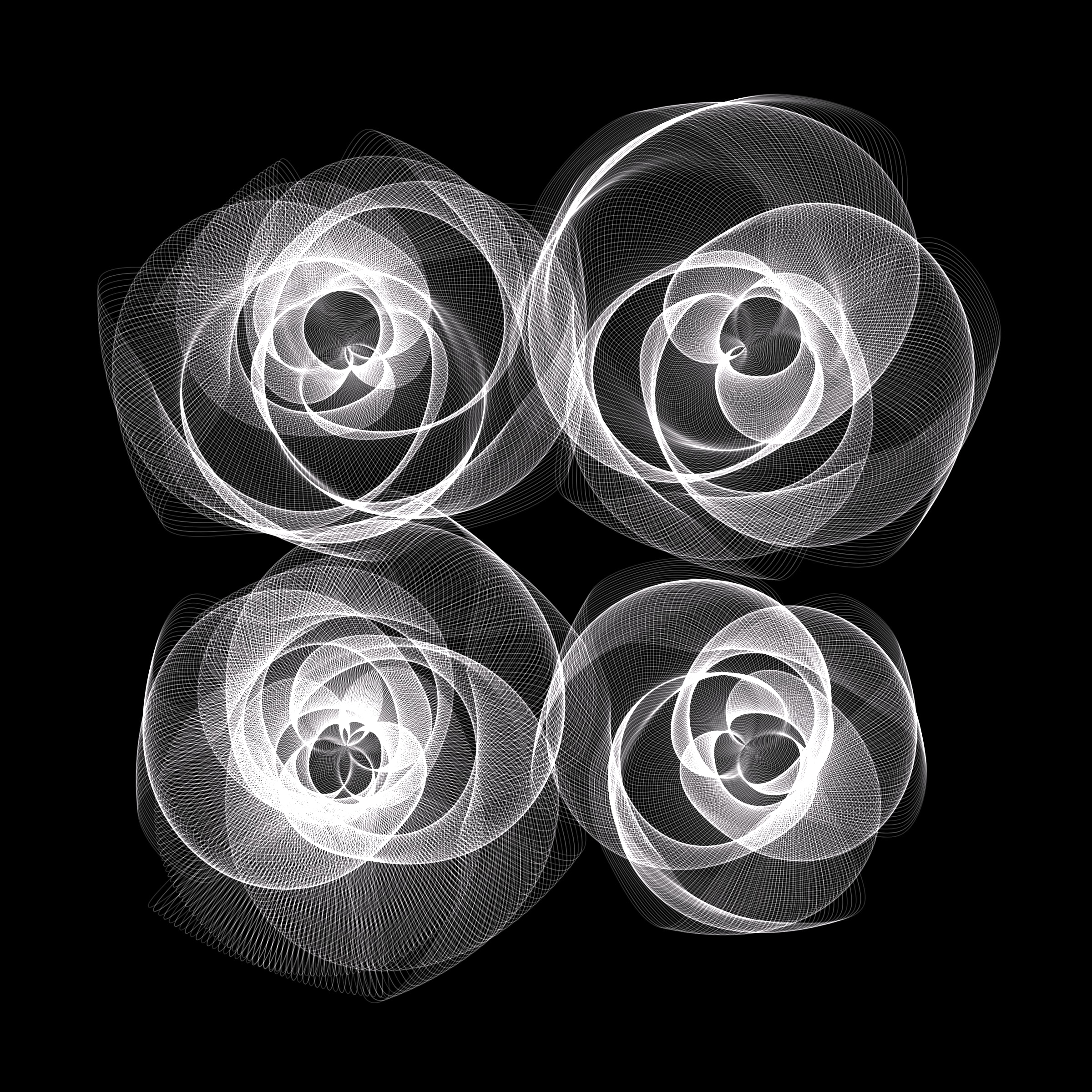 Flowers #116004664