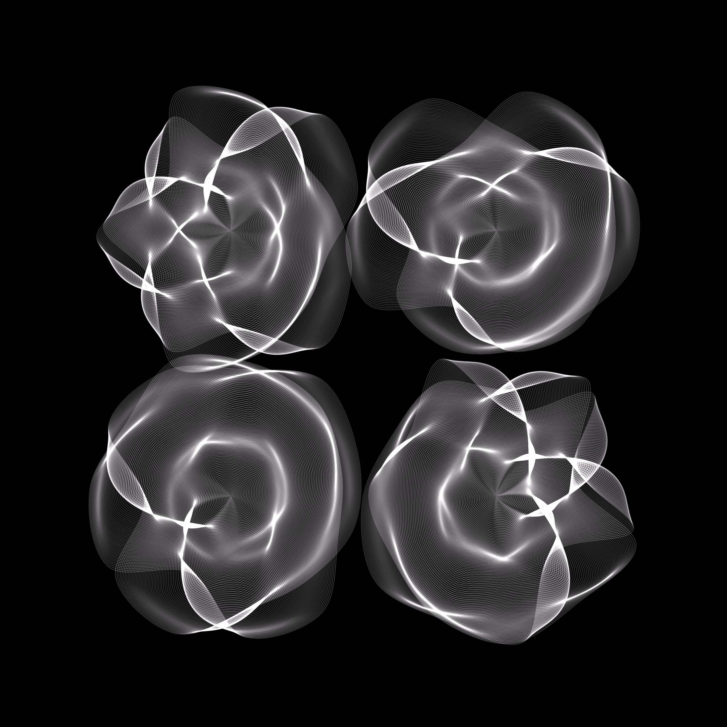 Flowers #116004797