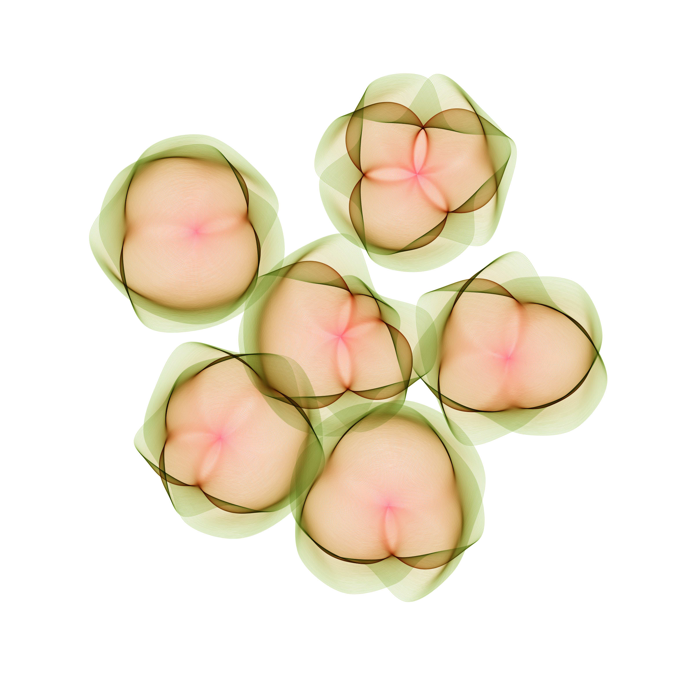 Flowers #116004825