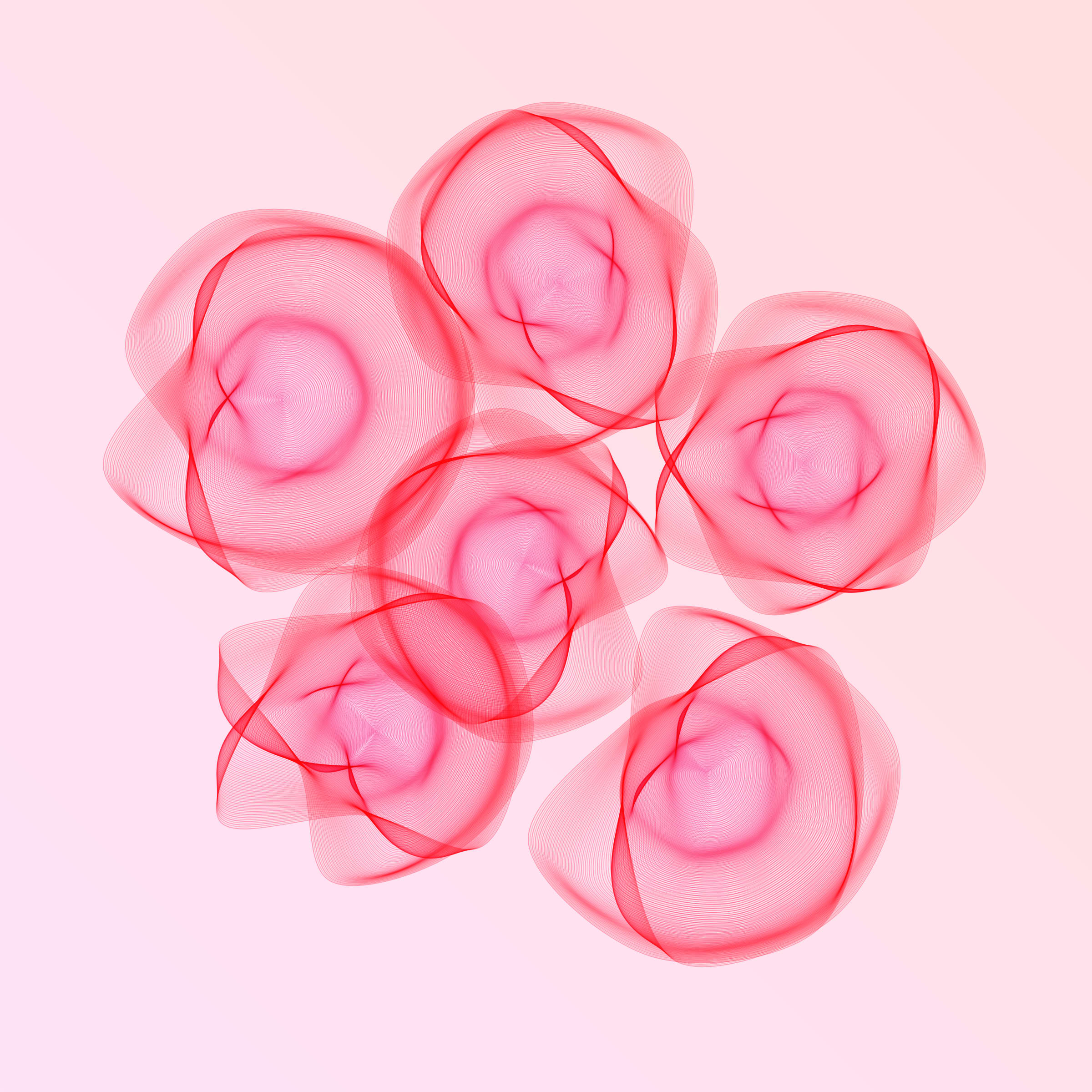 Flowers #116004874