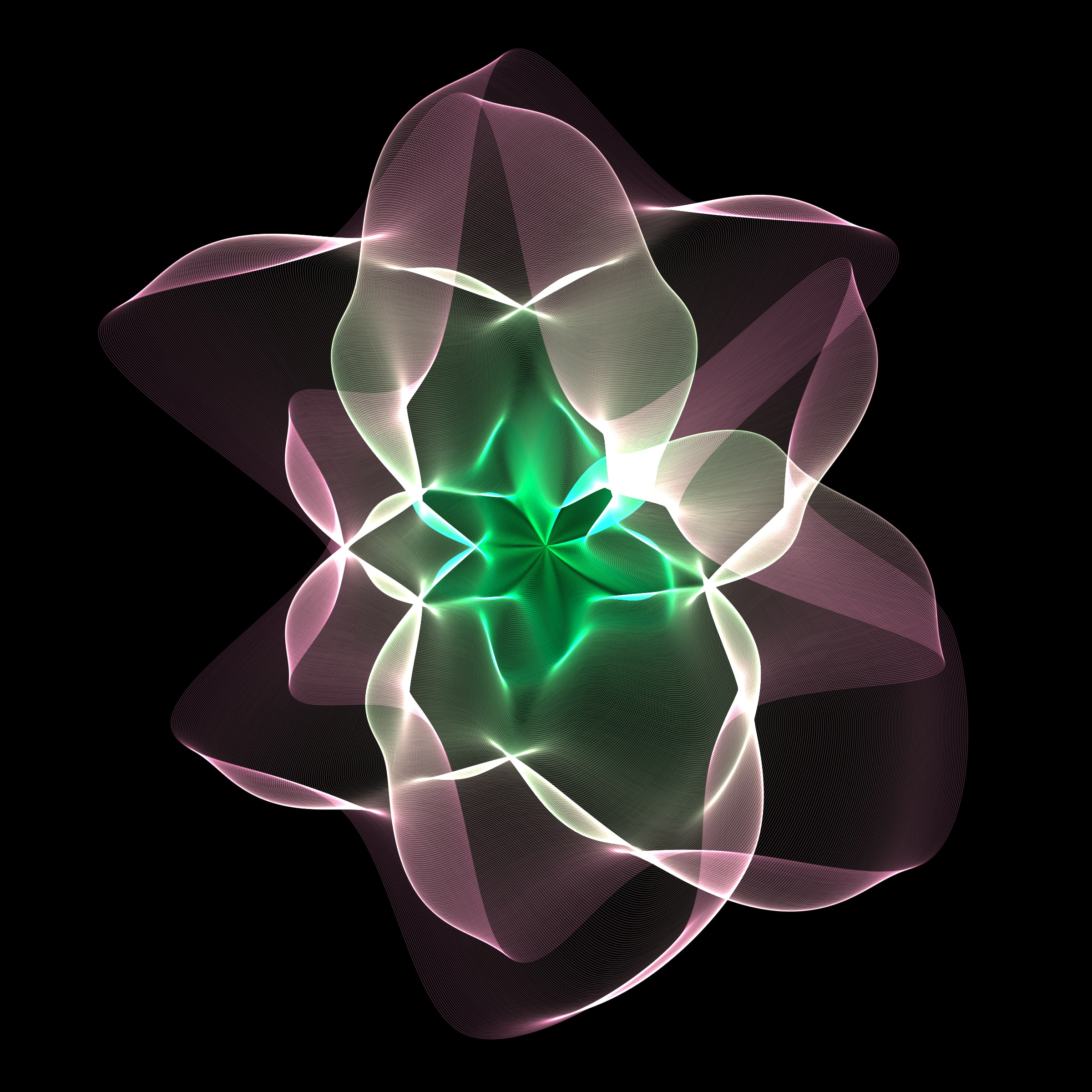 Flowers #116004911