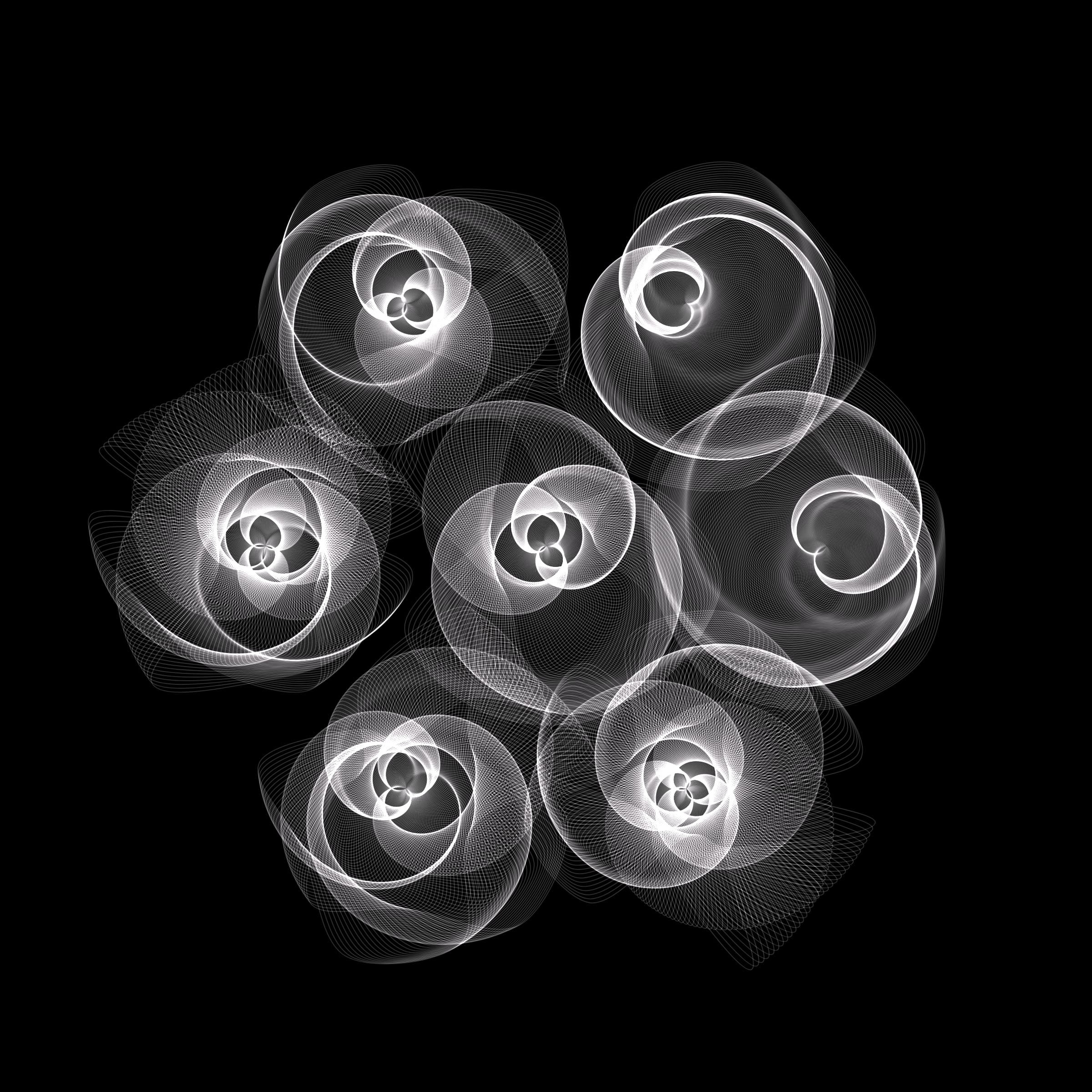 Flowers #116004947