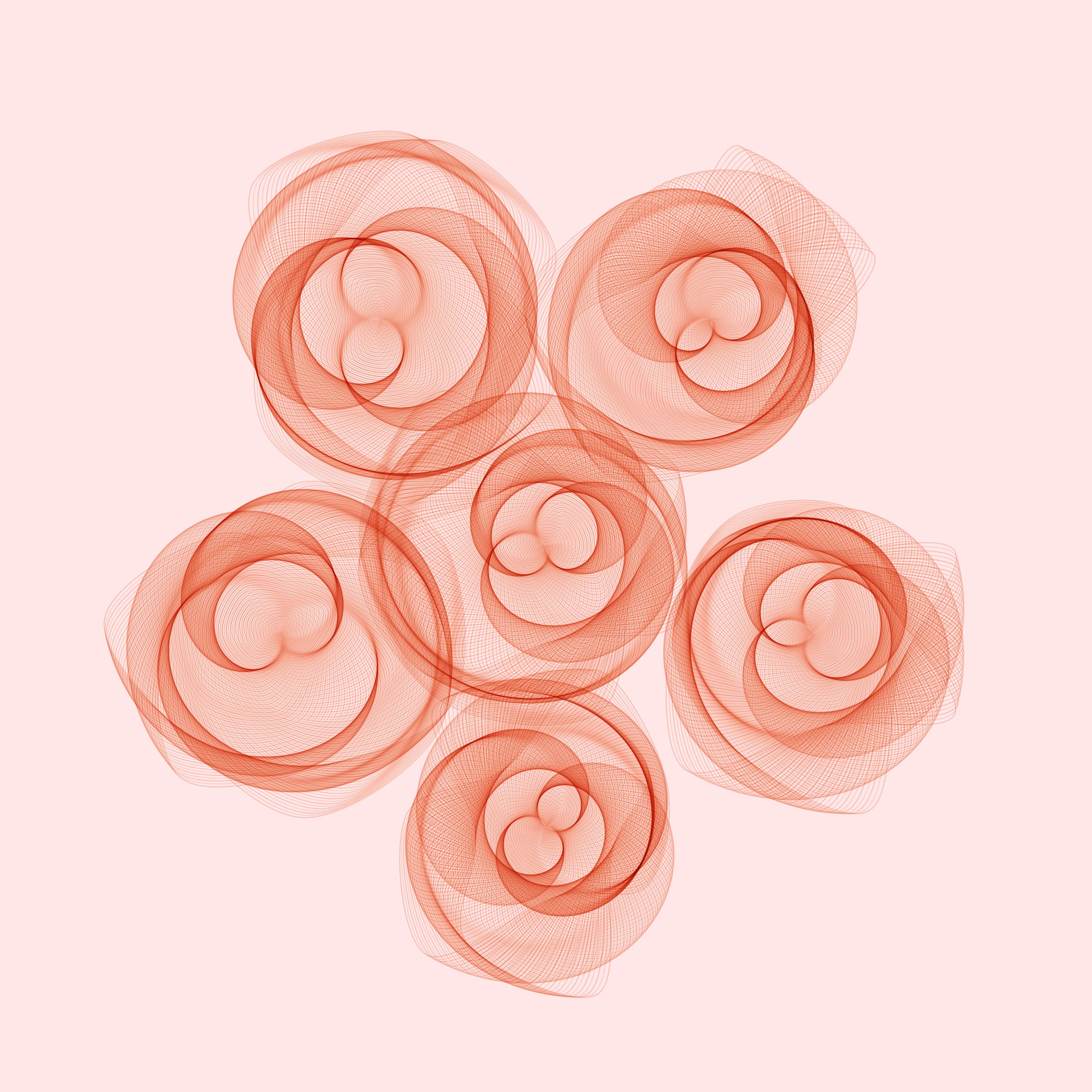 Flowers #116005056